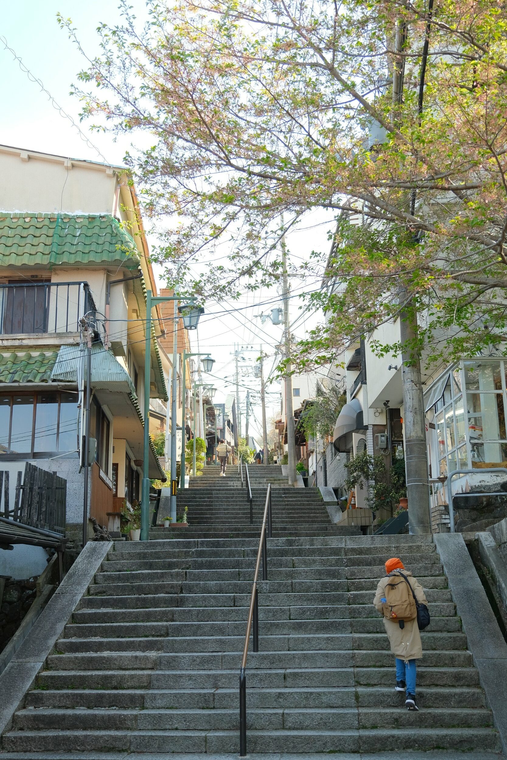 åŠ¨æ¼«ä¹‹è·¯2