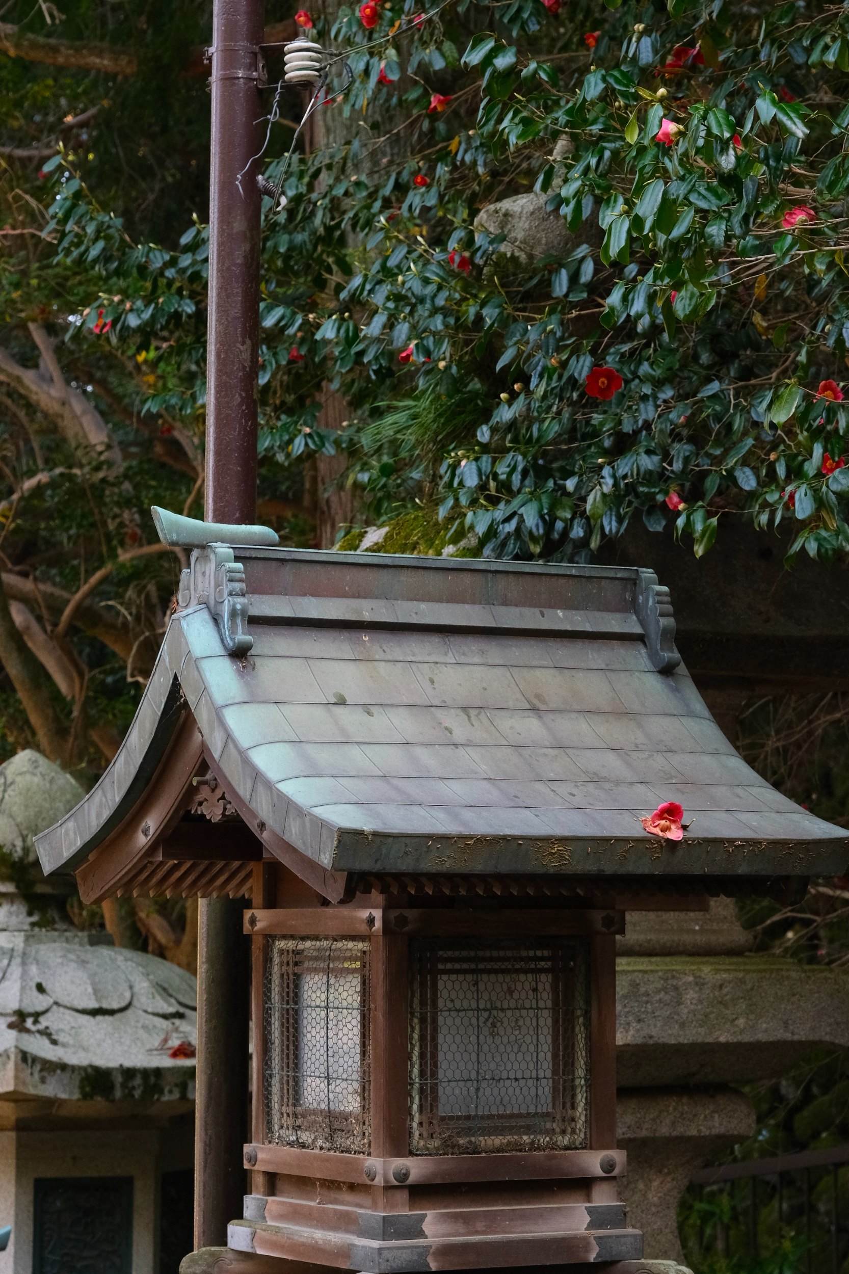 å®å±±å¯º4å·é—¨