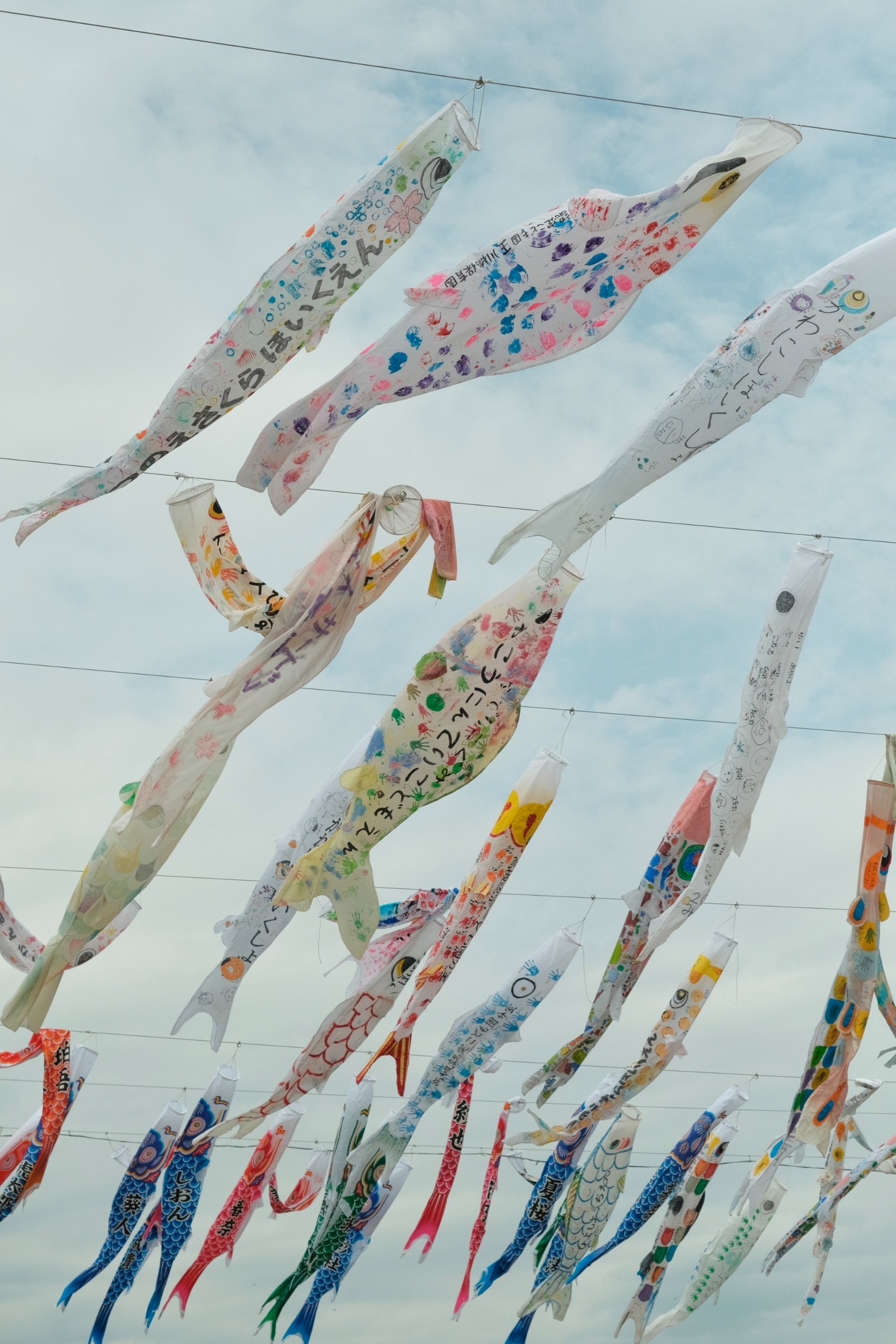 Le hoi co ca chep nhat ban