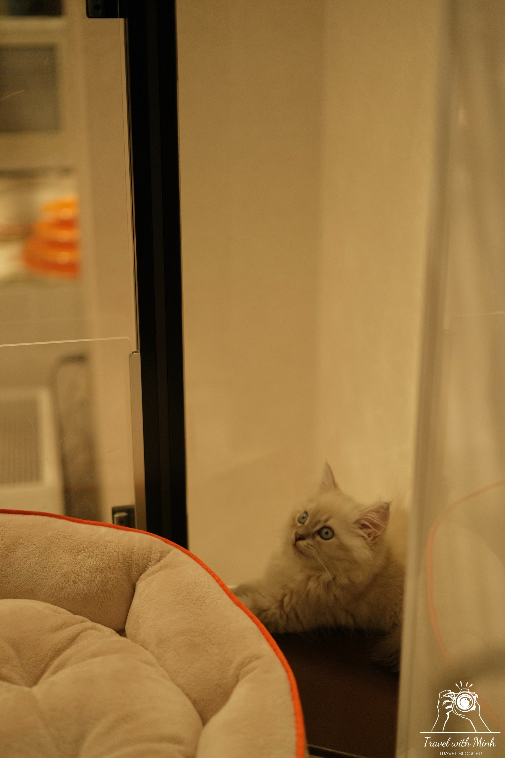 2023 04 29 16 58 dscf6688