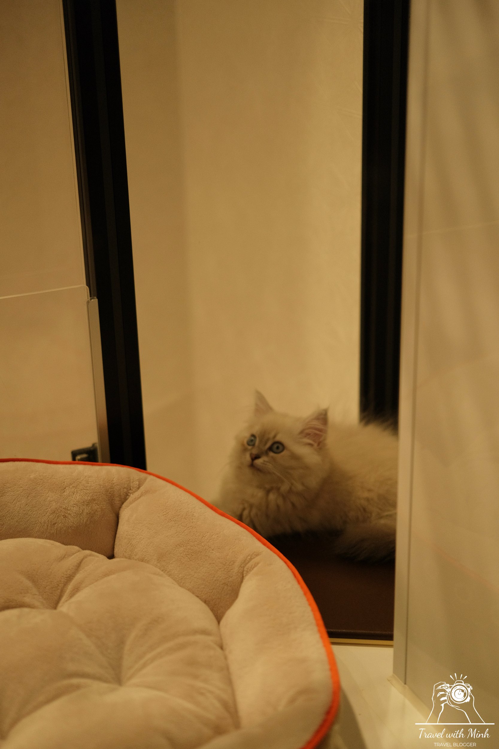 2023 04 29 16 59 dscf6691