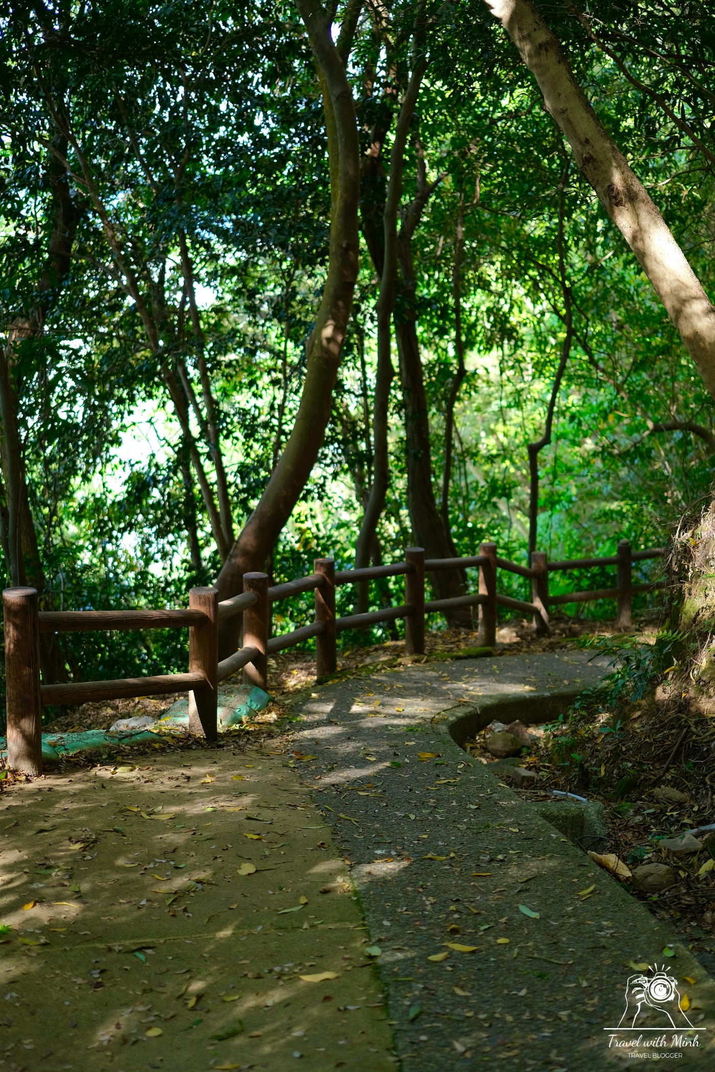 2023 05 05 13 31 dscf6946