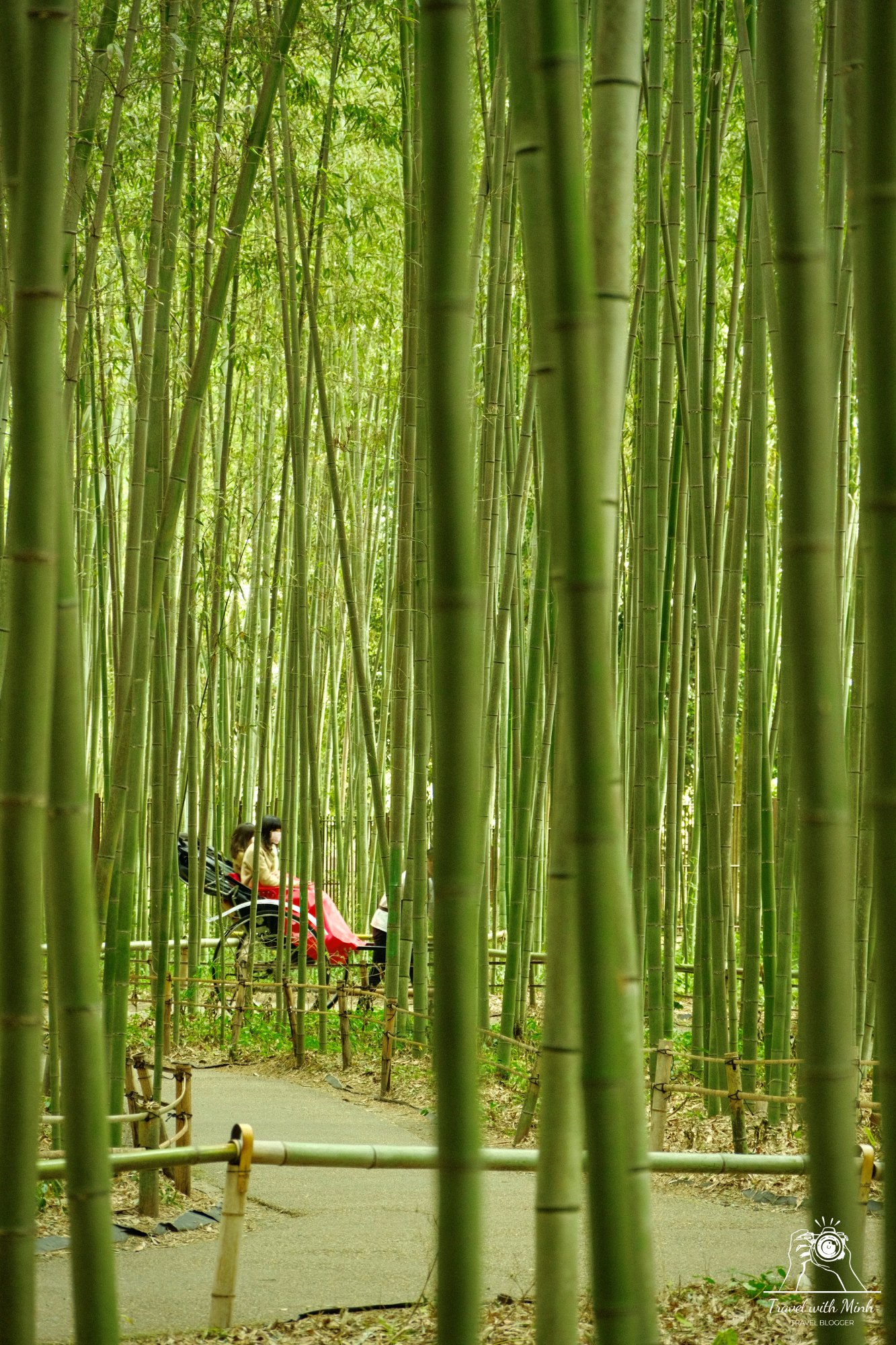 Batch 2022 12 30 10 38 dscf0928 1