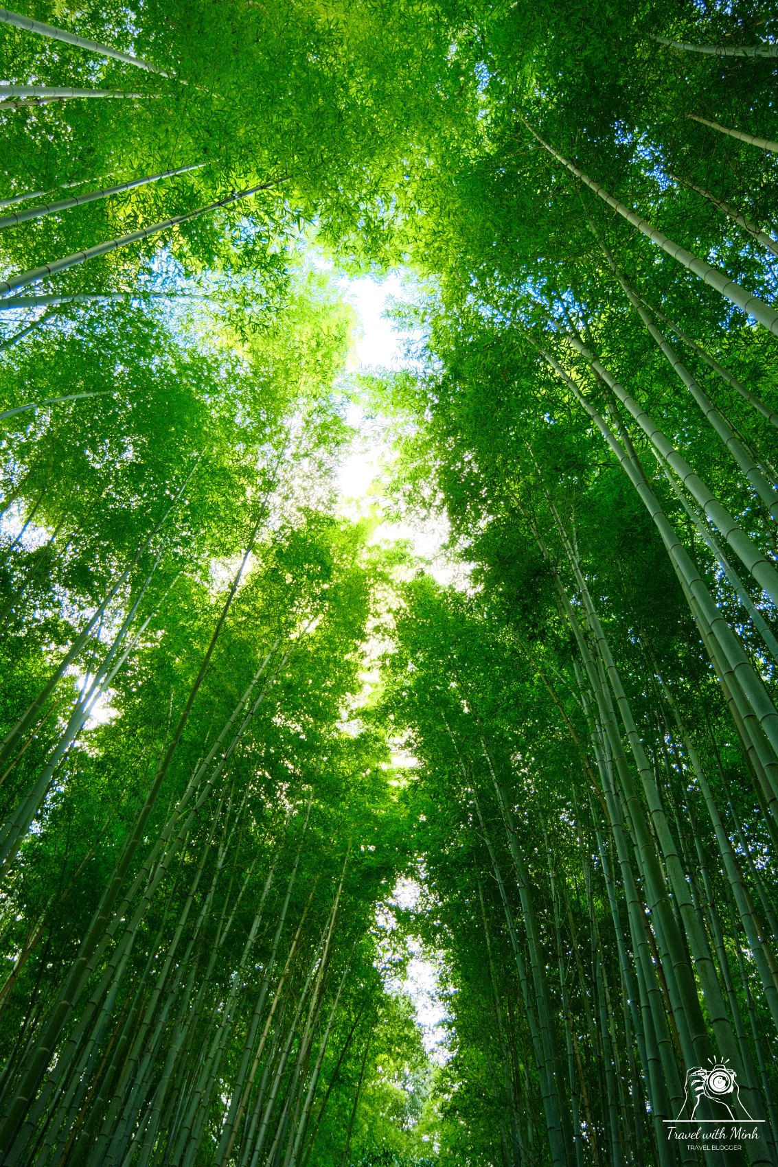 Batch 2022 12 30 11 46 dscf1211