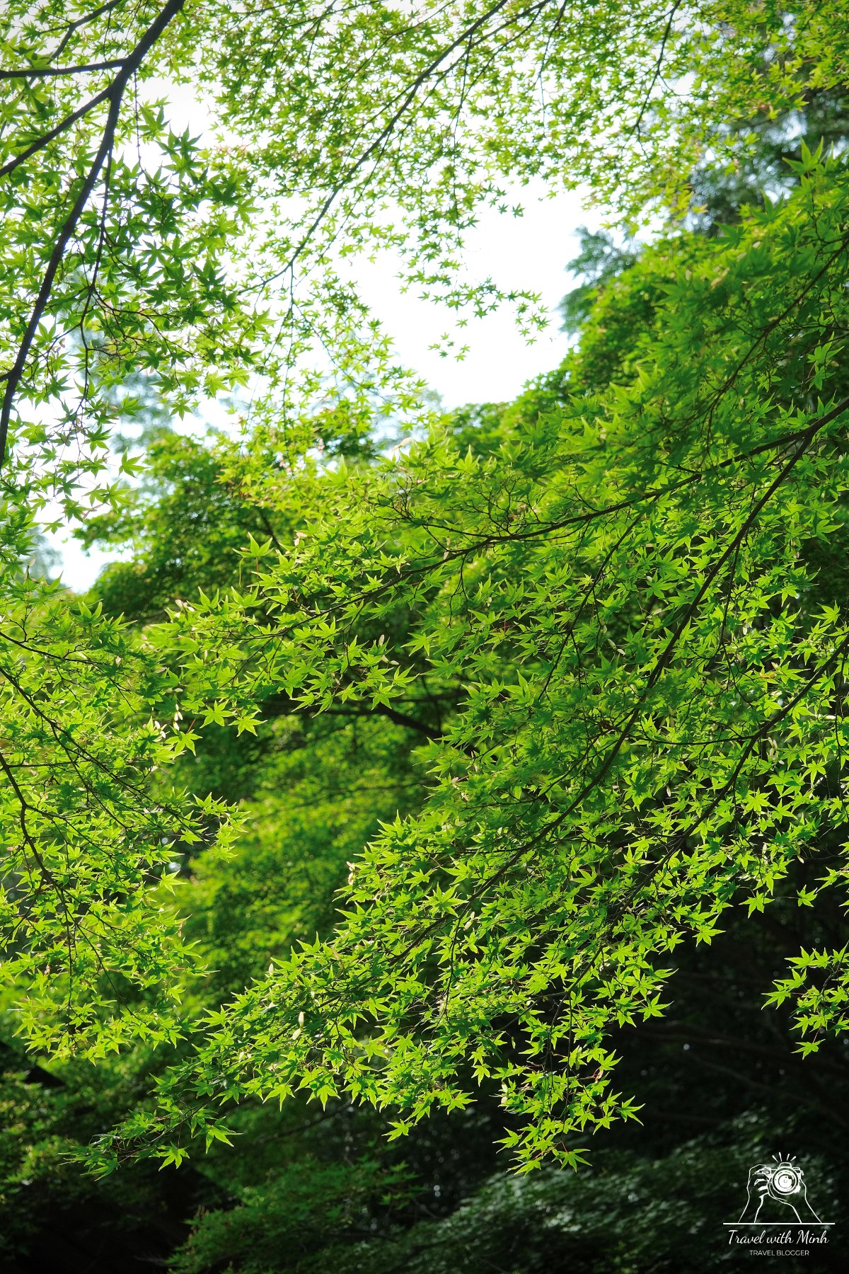 Batch 2023 05 26 12 59 dscf9651 1