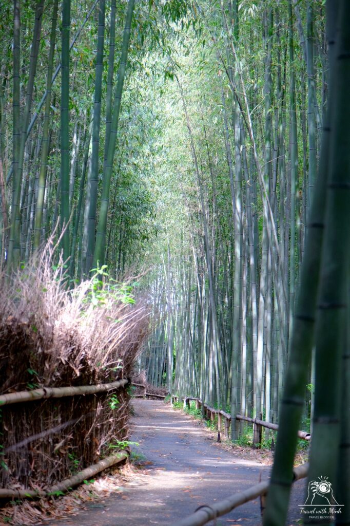 Arashiyama