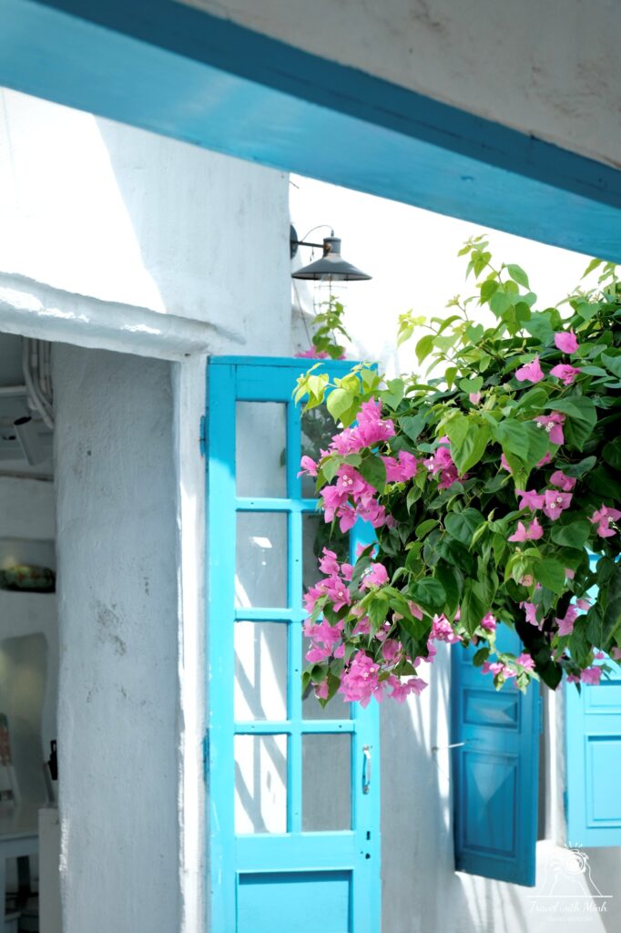 Sơn-trà-Marina-International-Travelwithminh