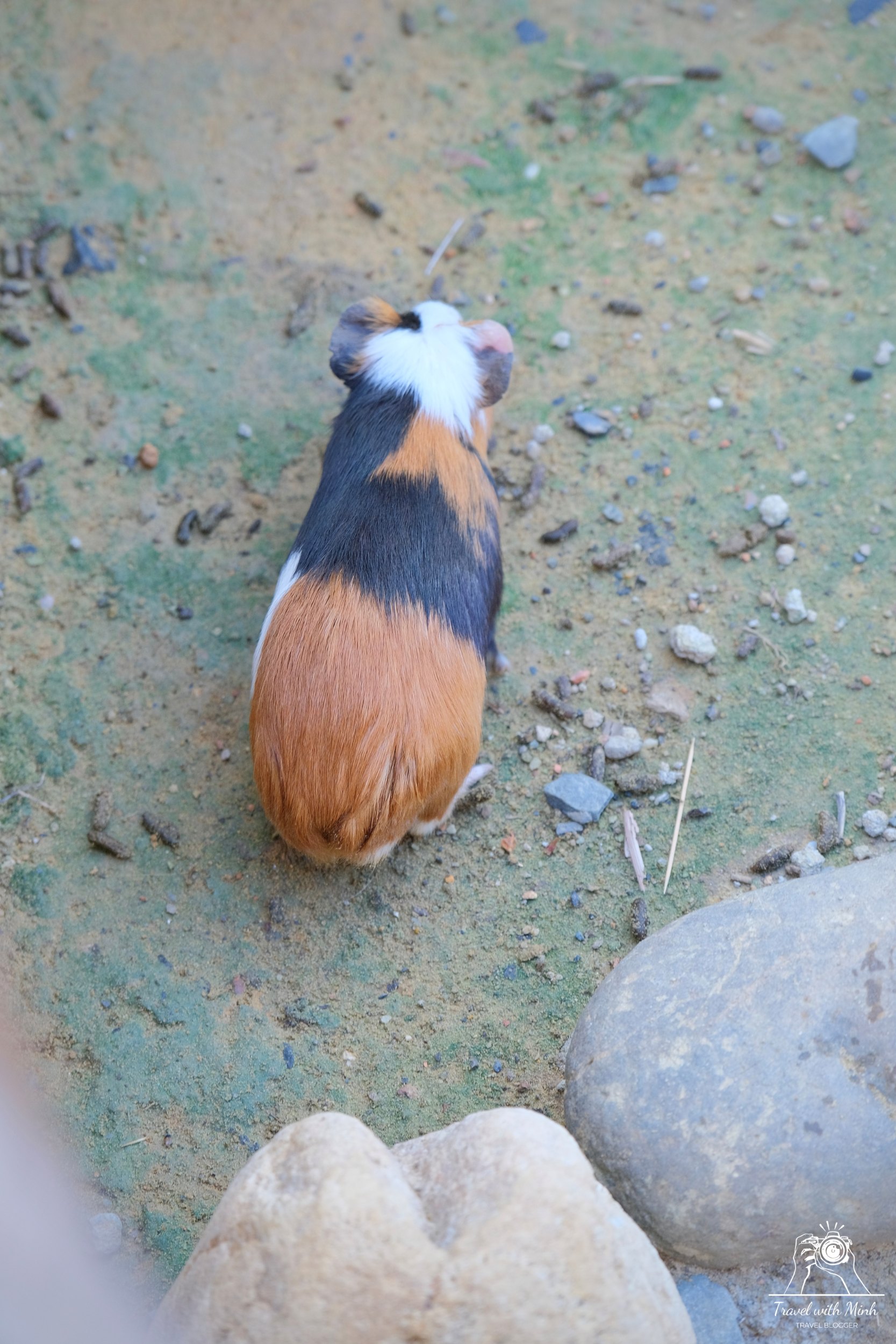 Batch 2023 06 17 18 16 dscf1589