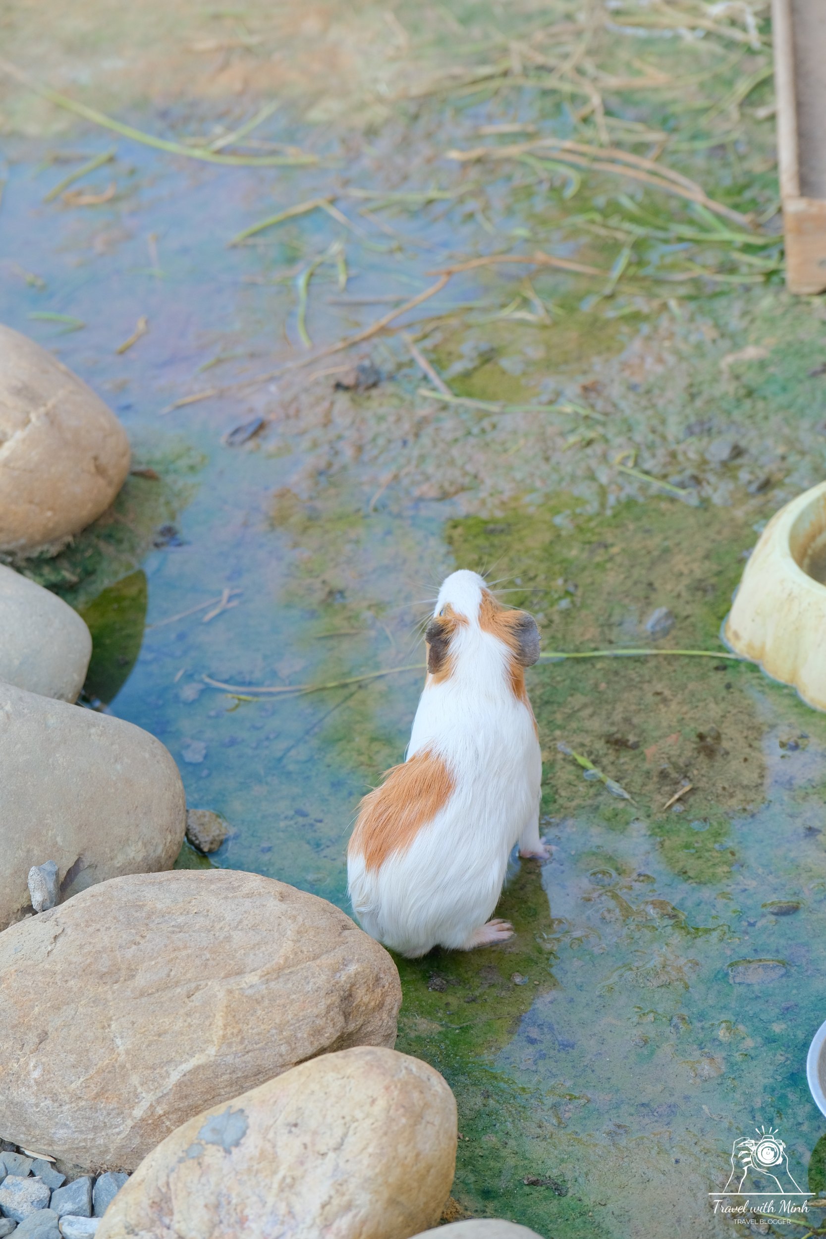 Batch 2023 06 17 18 16 dscf1590