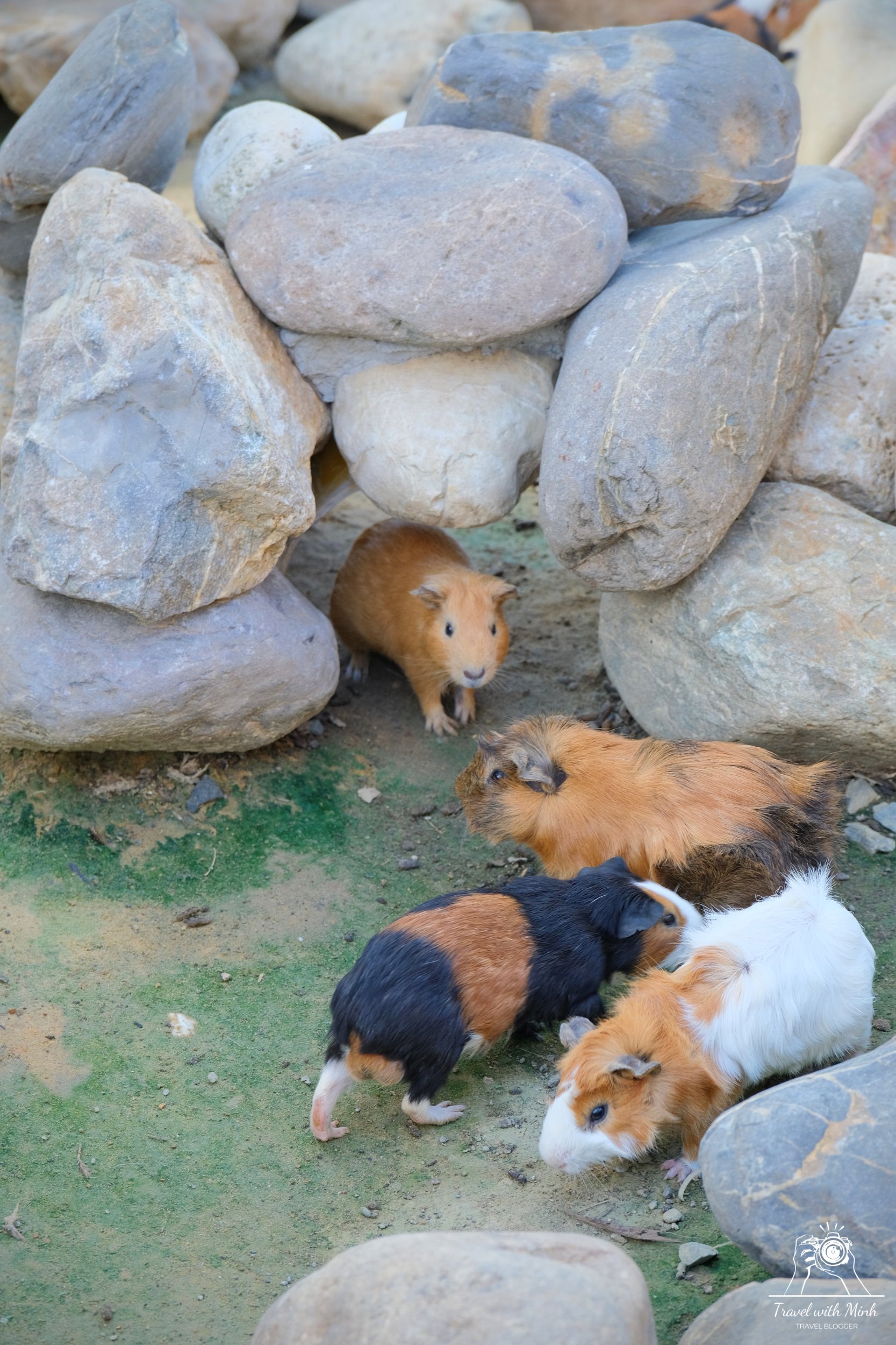 Batch 2023 06 17 18 16 dscf1592