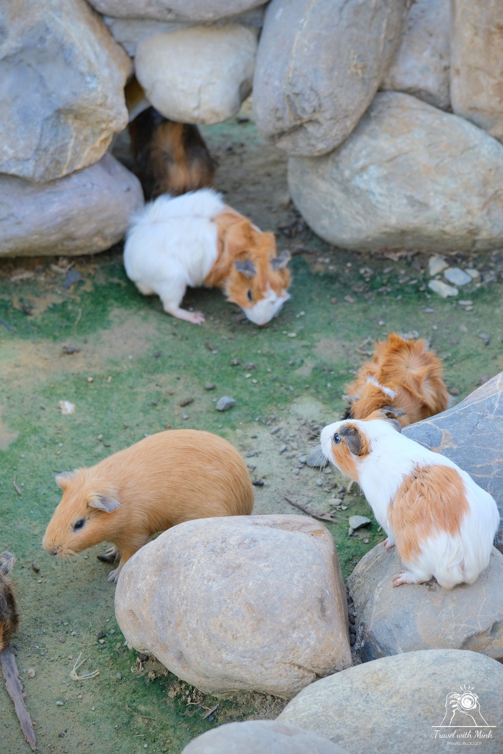 Batch 2023 06 17 18 17 dscf1593