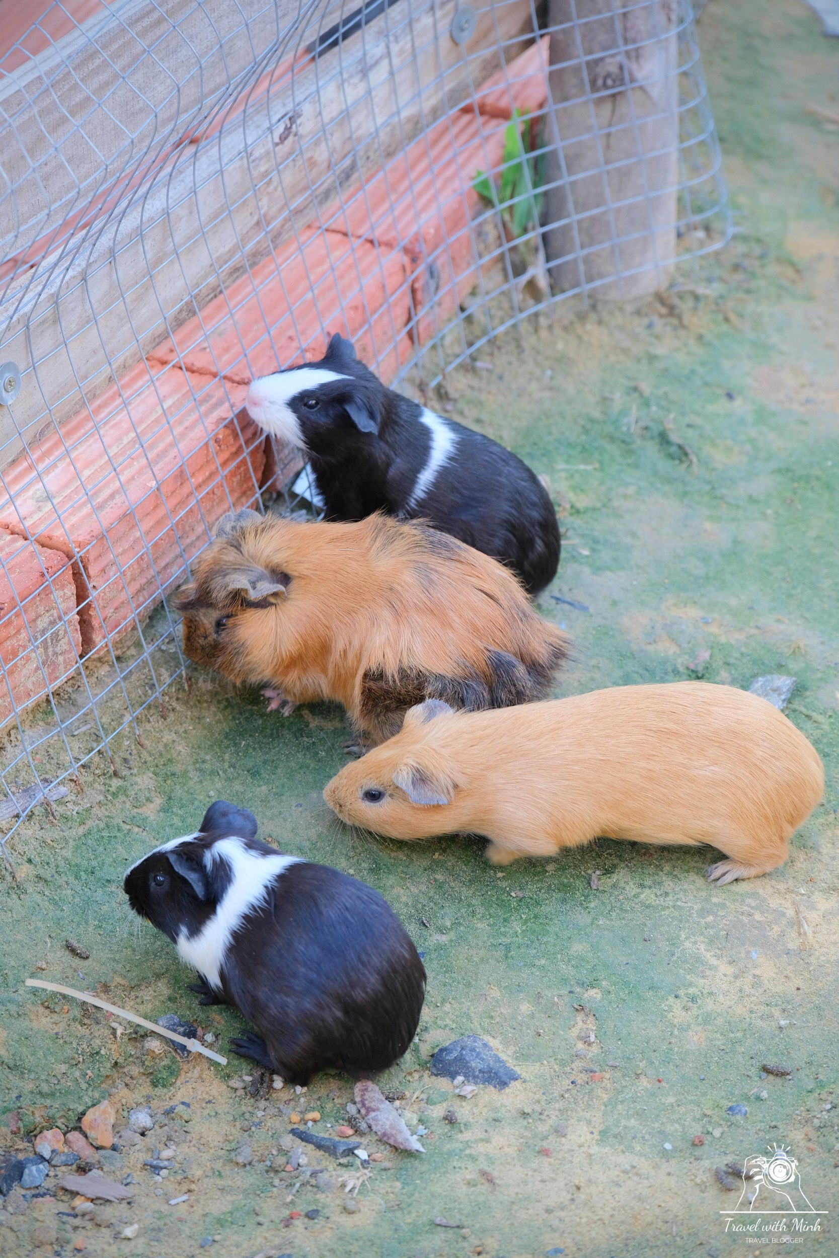 Batch 2023 06 17 18 17 dscf1595