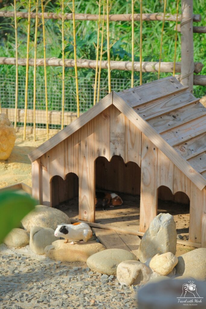 top-3-quan-cafe-dep-nhat-da-nang-travelwithminh