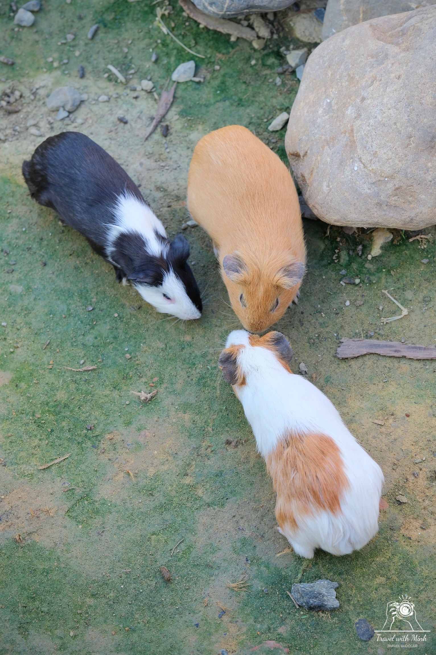 Batch 2023 06 17 18 22 dscf1615