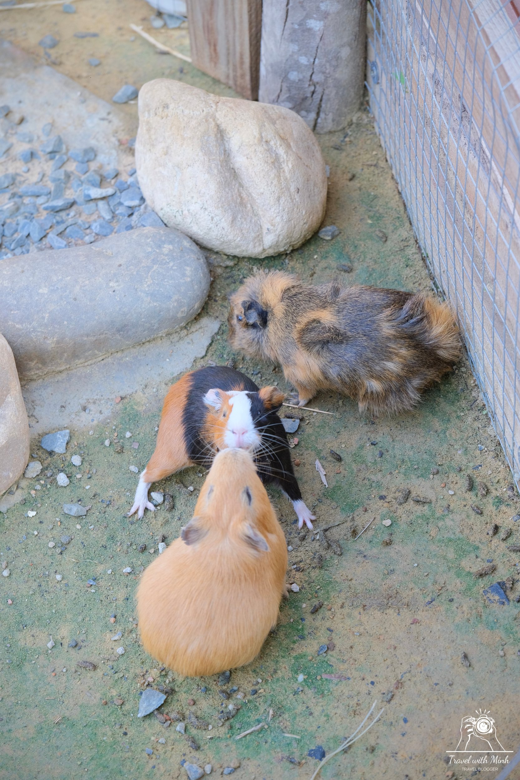 Batch 2023 06 17 18 24 dscf1622