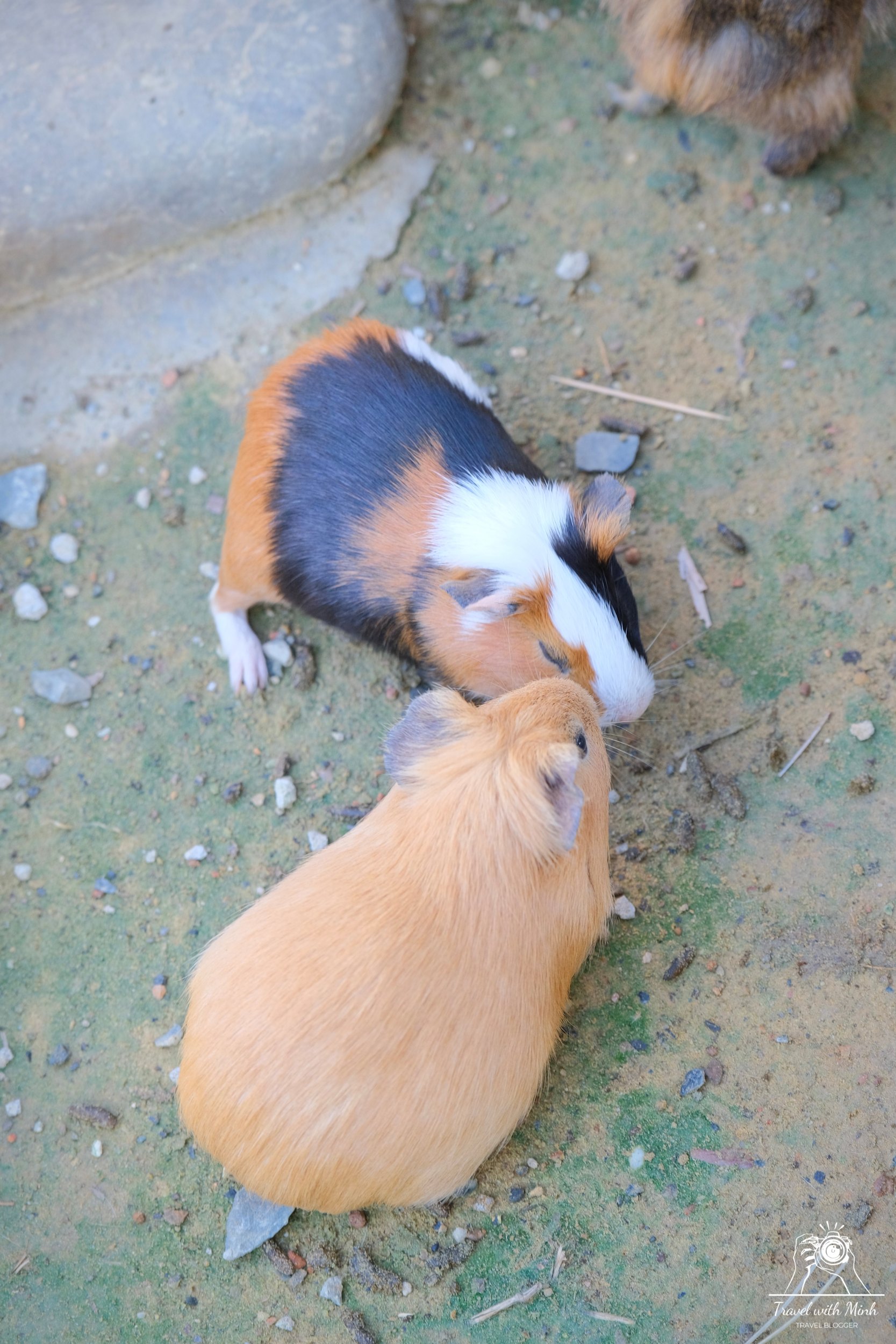 Batch 2023 06 17 18 24 dscf1624