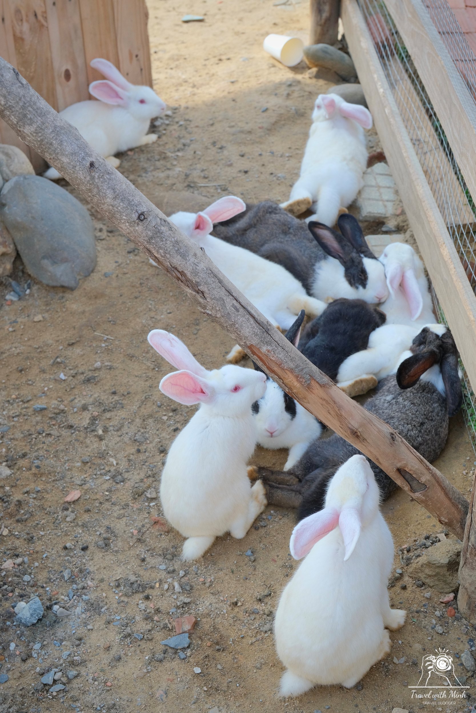 Batch 2023 06 17 18 25 dscf1626