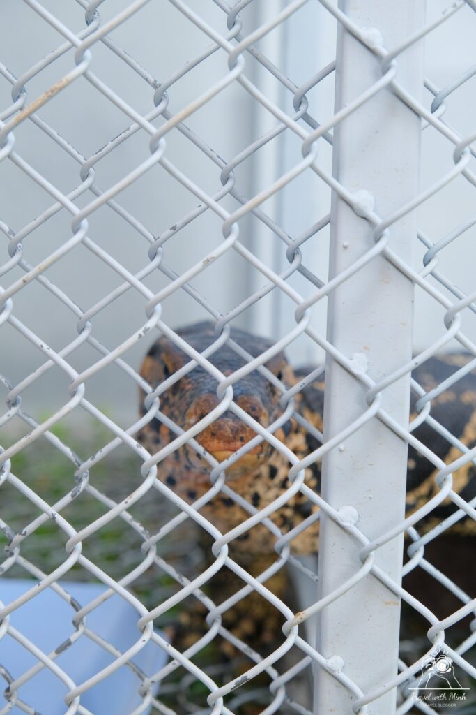 top-3-quan-cafe-dep-nhat-da-nang