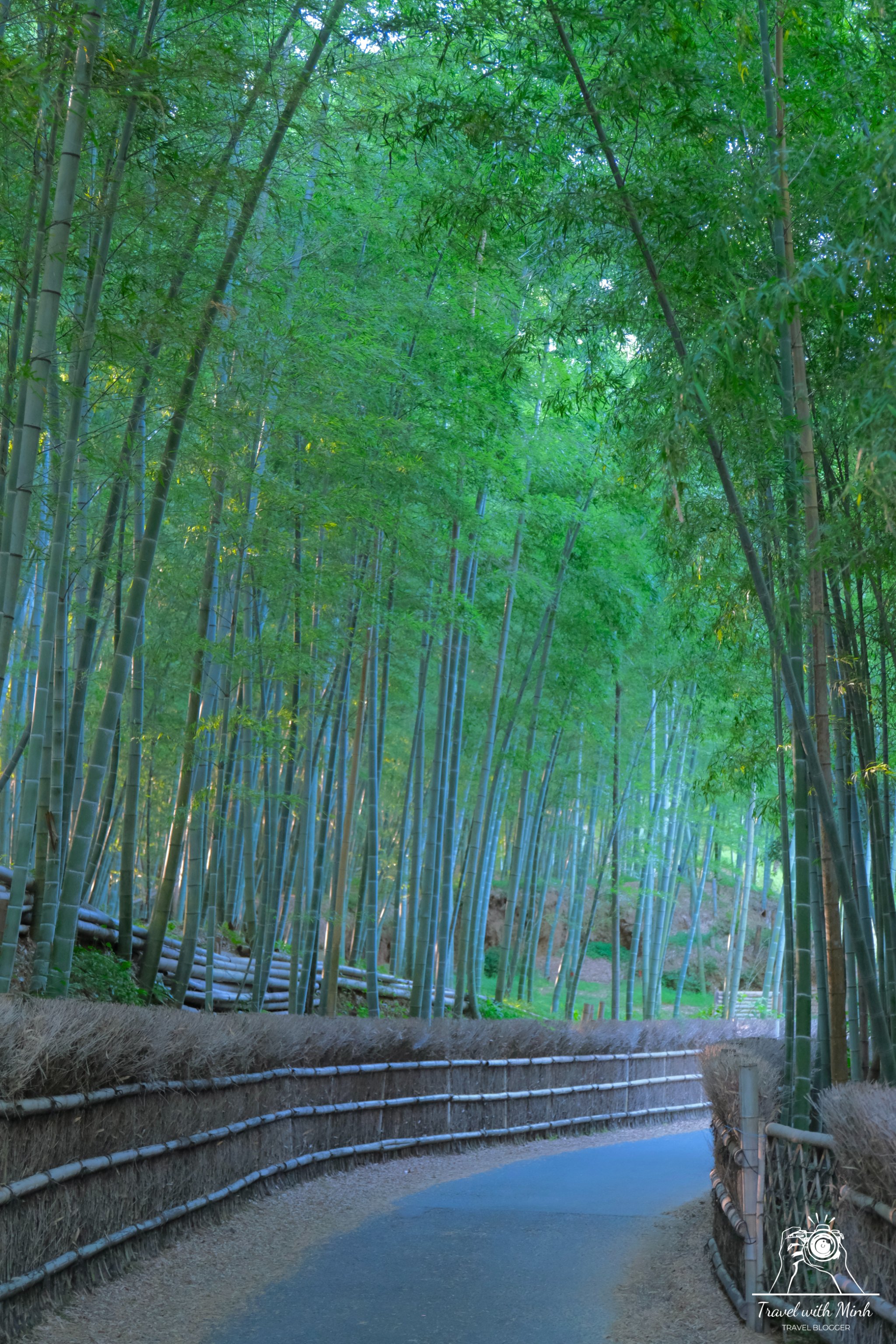 2023 07 16 15 25 dscf3489