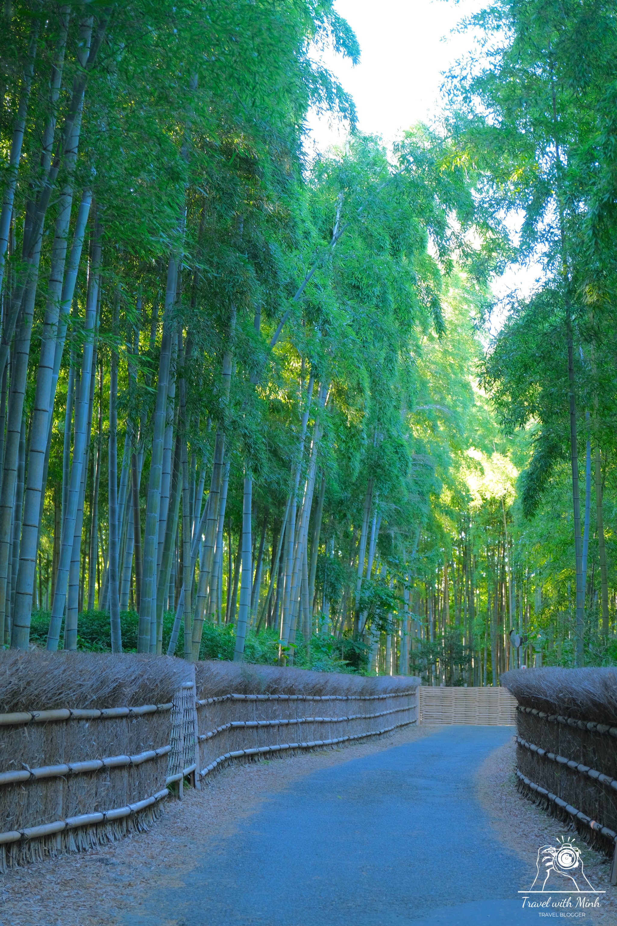 2023 07 16 15 28 dscf3494