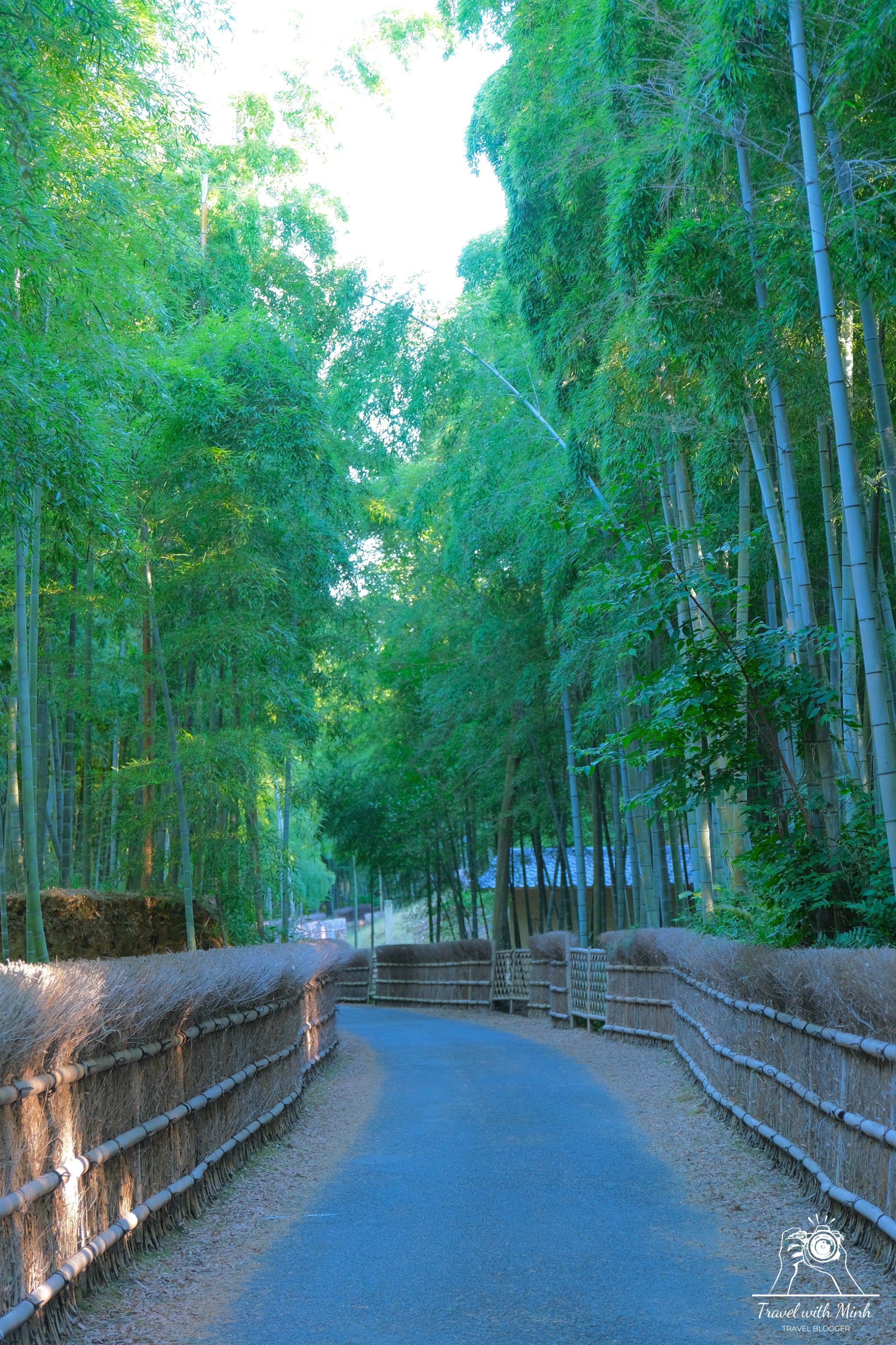 2023 07 16 15 30 dscf3501