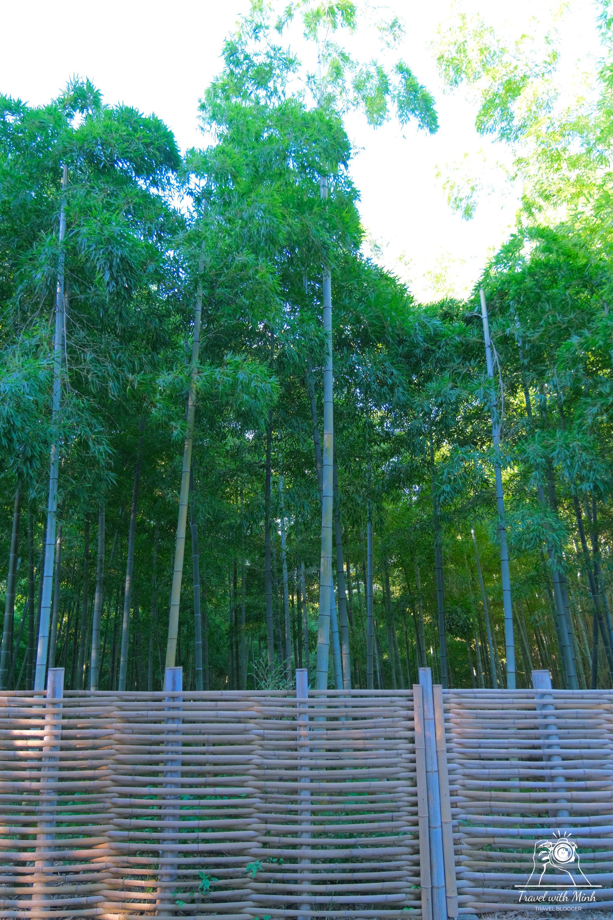 2023 07 16 15 31 dscf3506