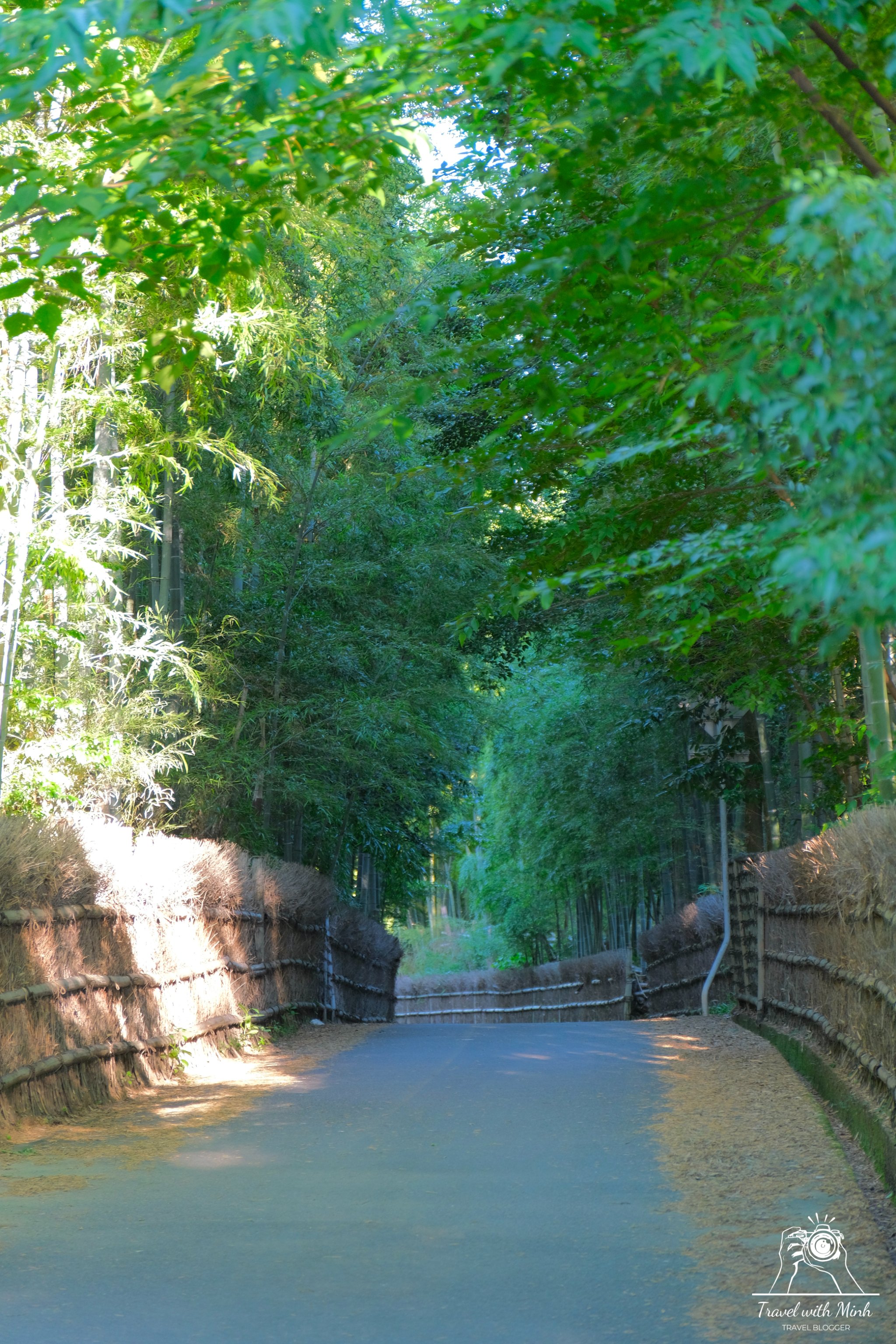 2023 07 16 15 35 dscf3509