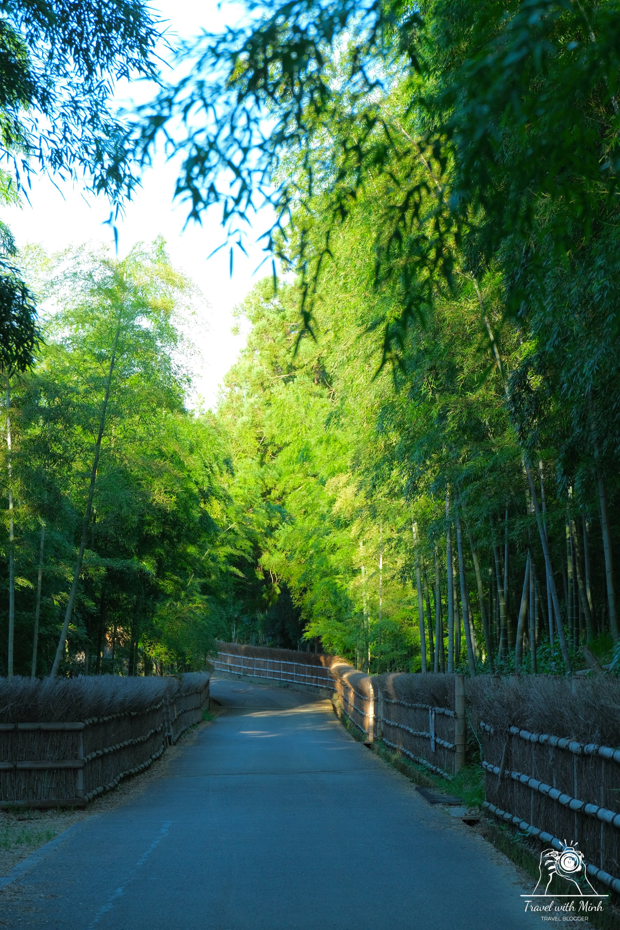 2023 07 16 15 46 dscf3517