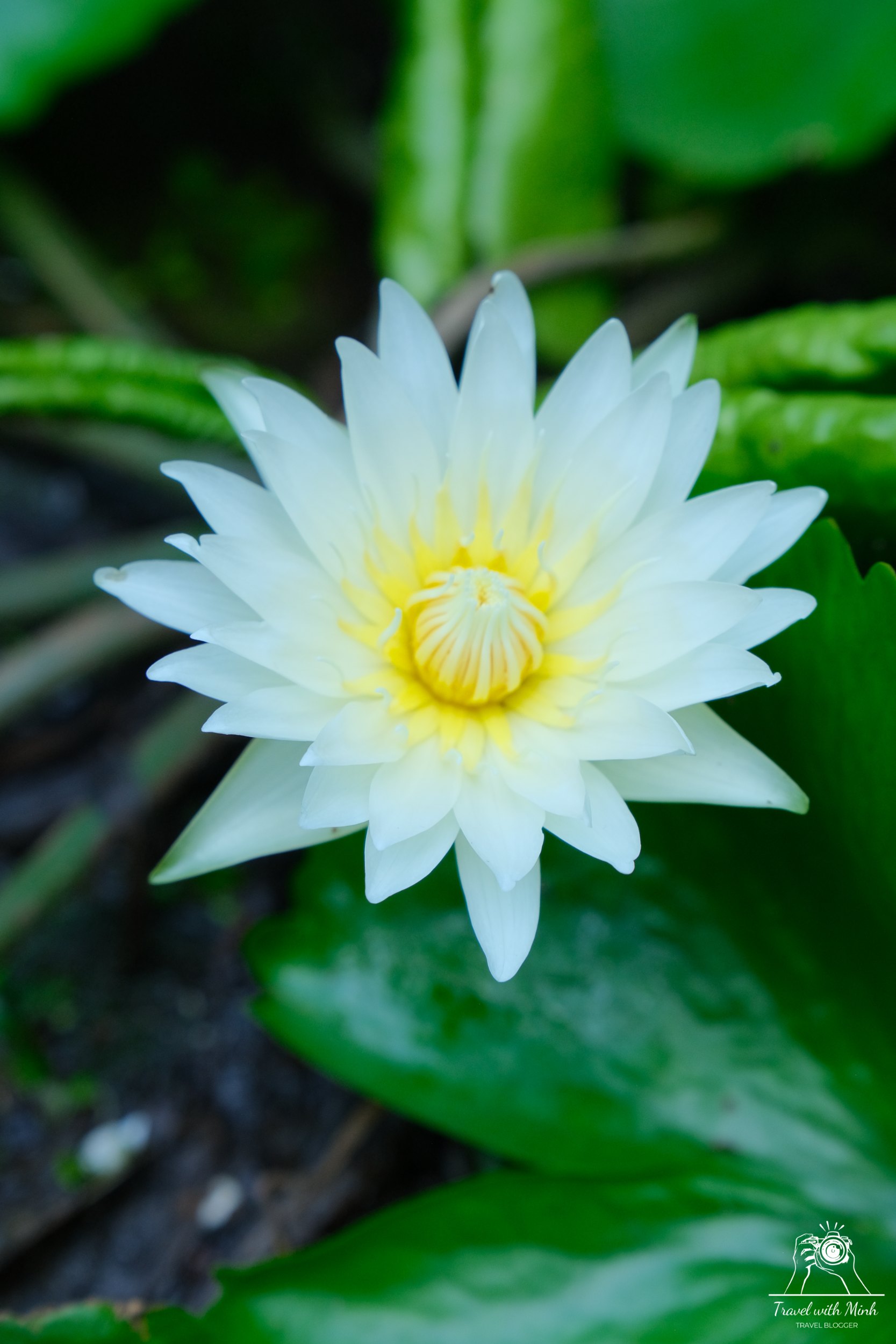 Batch 2023 06 17 15 25 dscf1518