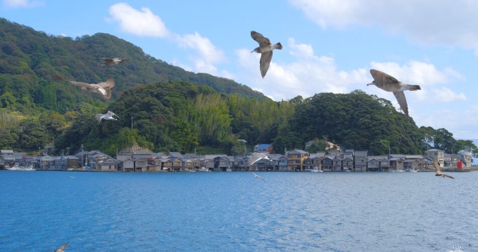 Ine village kyoto2023 09 24 11 54 dscf7835