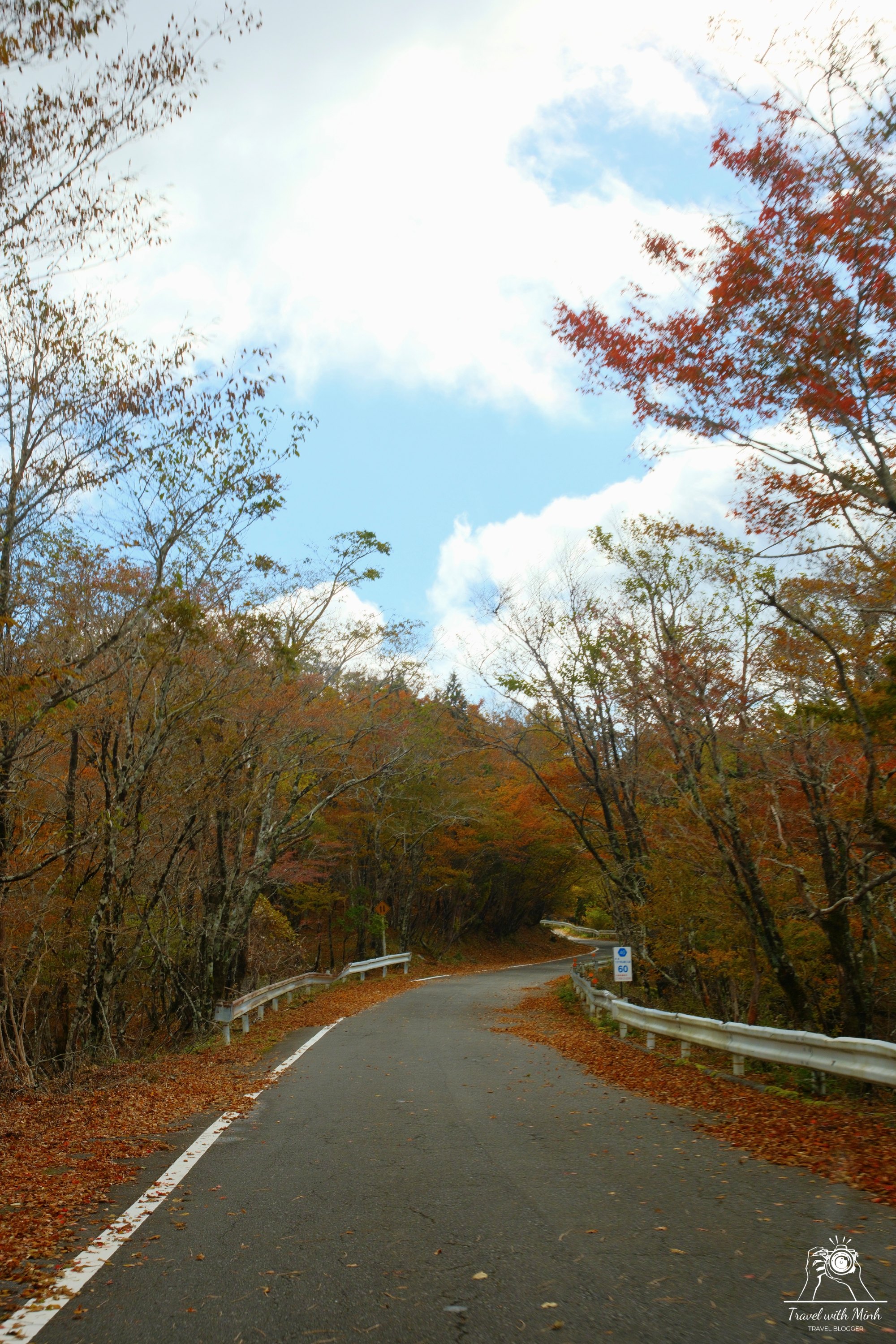 Mount odaigahara 7 red leaves