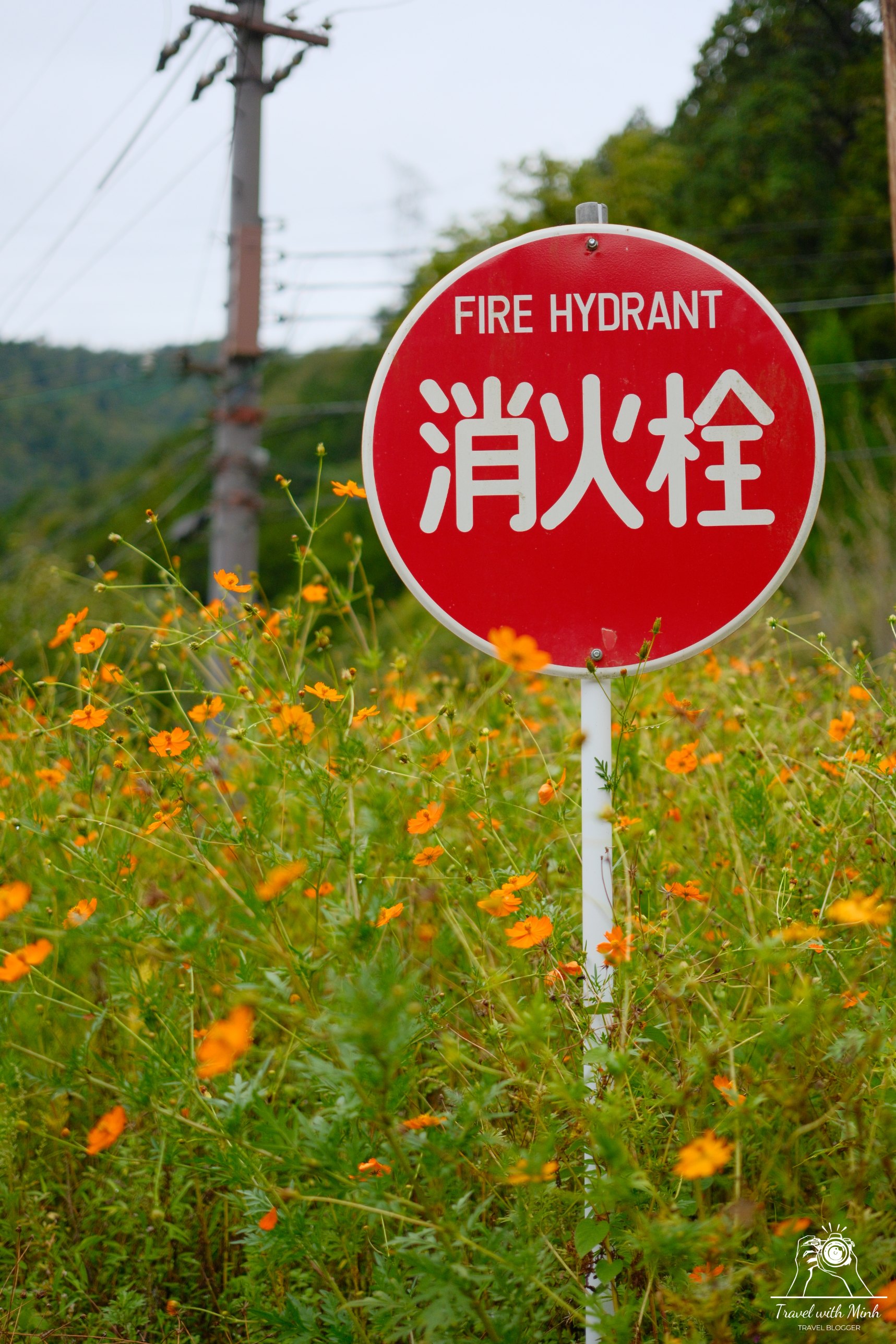 Kayabuki no sato 14 3