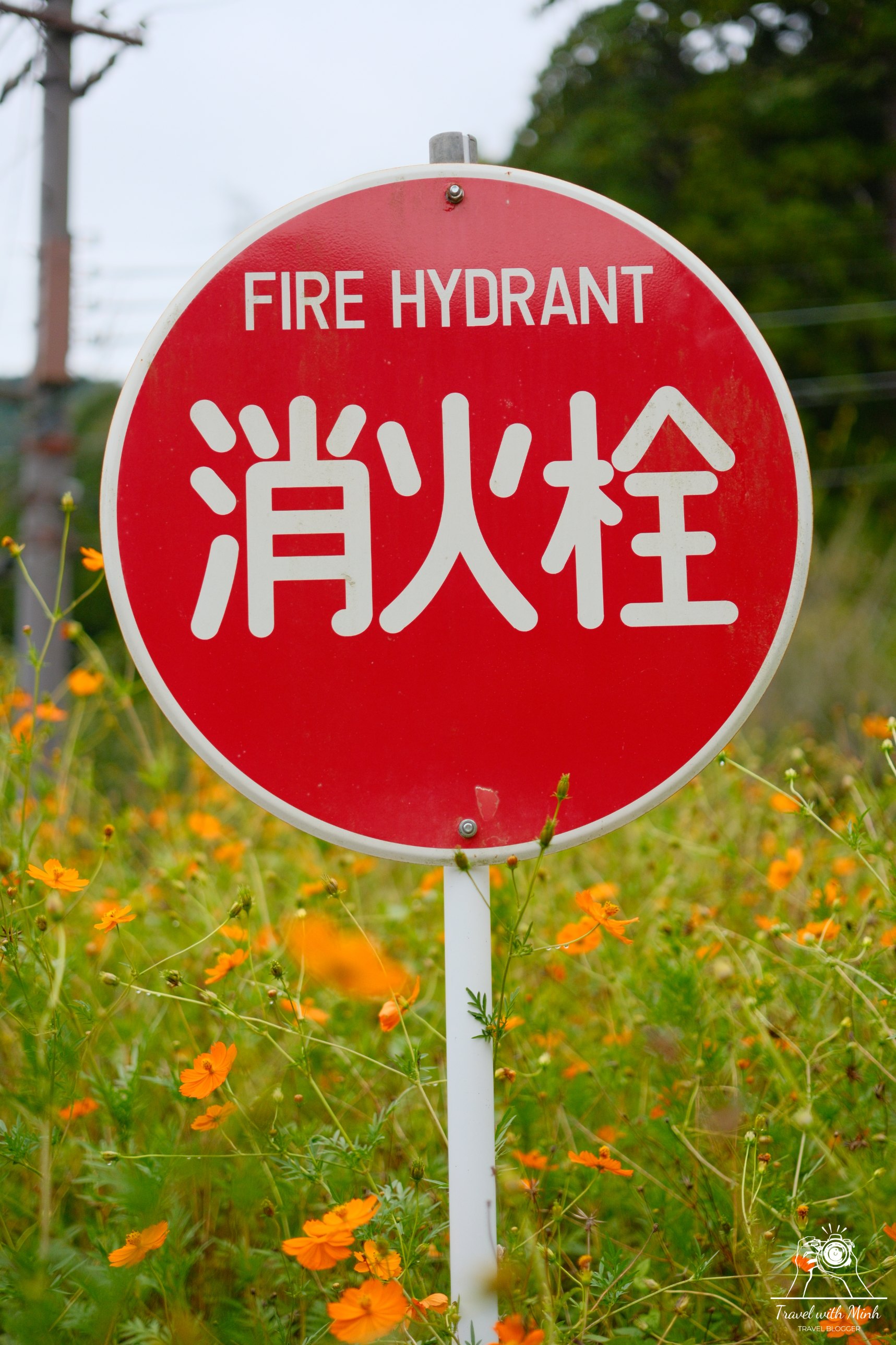 Kayabuki no sato 16 2