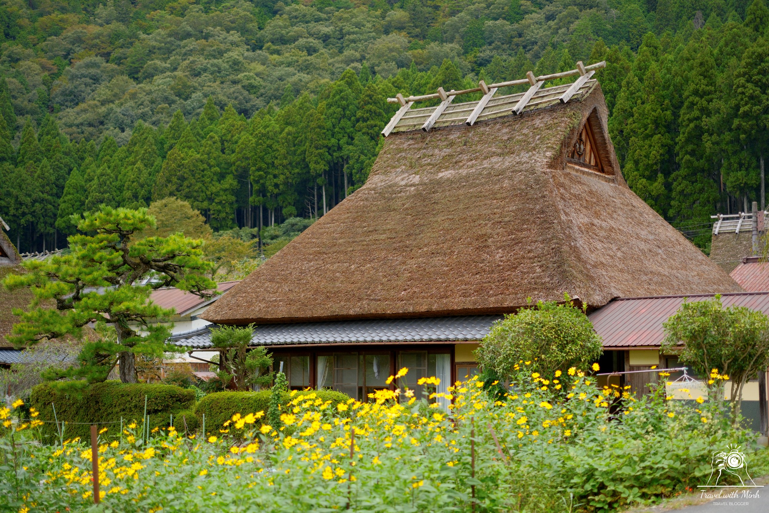 Kayabuki no sato 50 house
