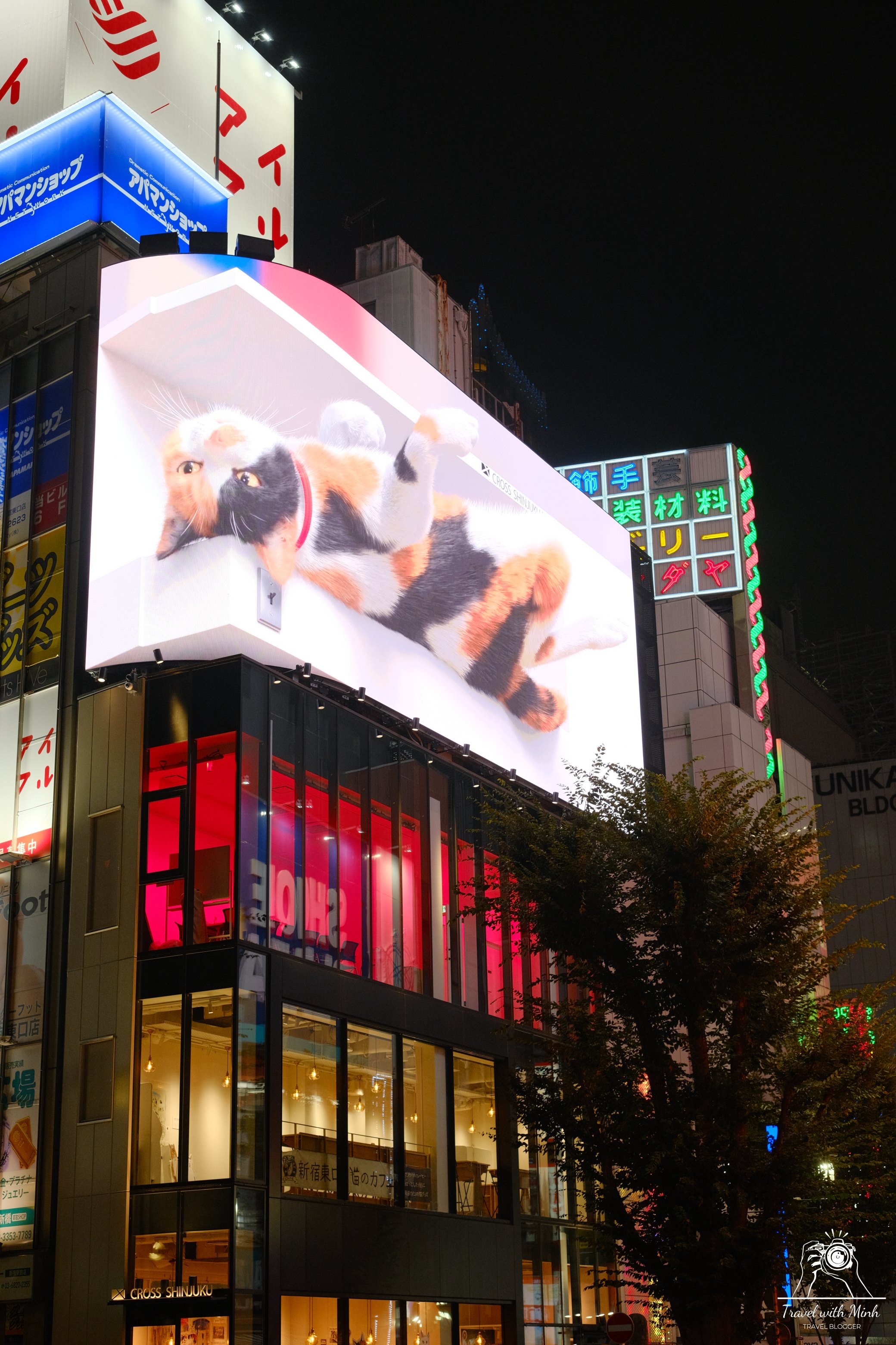Travelwithminh 48 3d screen shibuya station 1