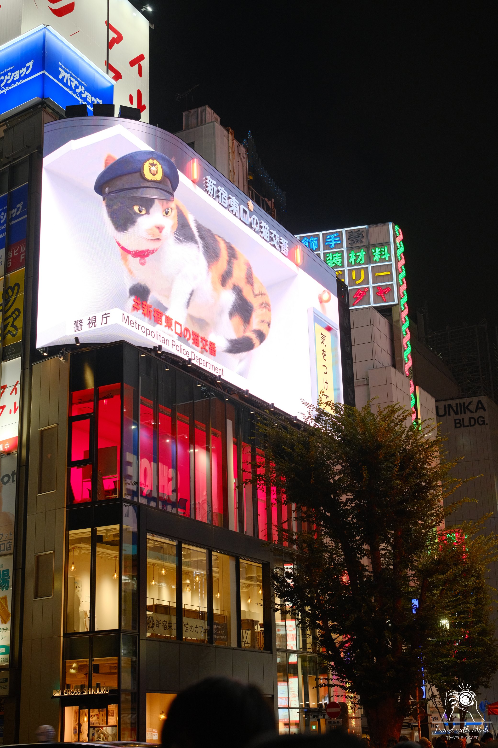 Travelwithminh 50 3d screen shibuya station 1