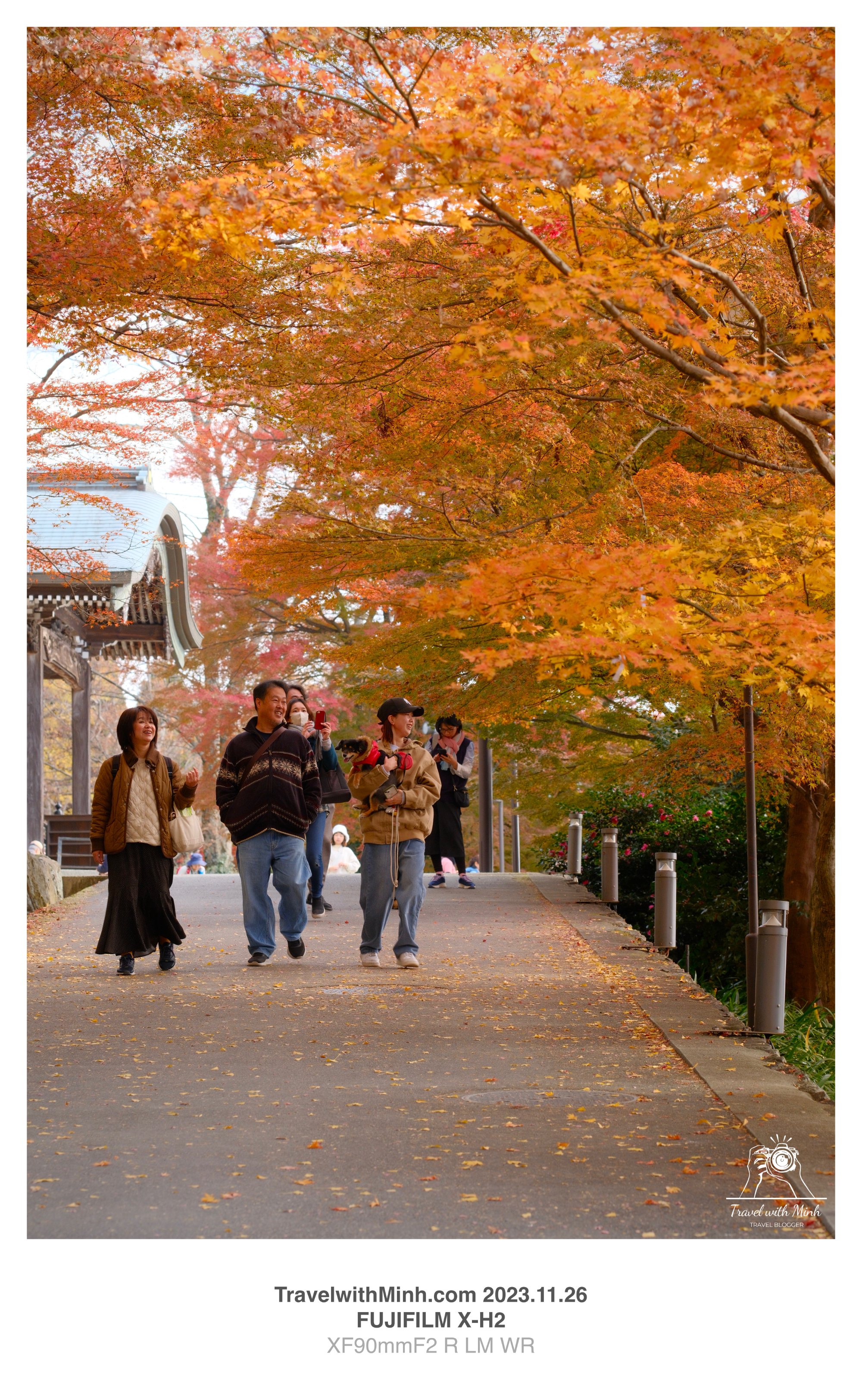 Katsuoji minoh2023 11 26 08 28 img 2823