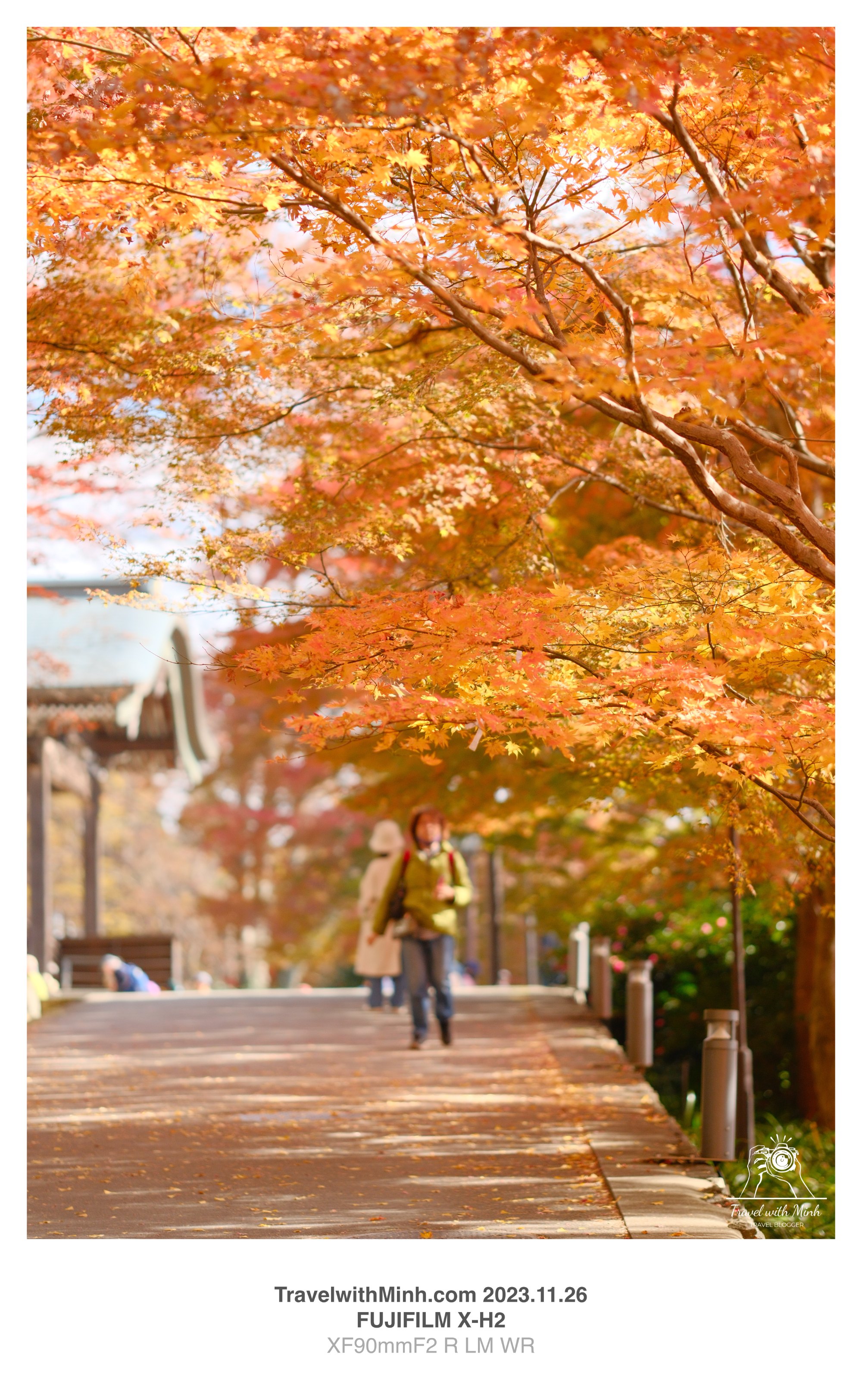 Katsuoji minoh2023 11 26 08 29 img 2822