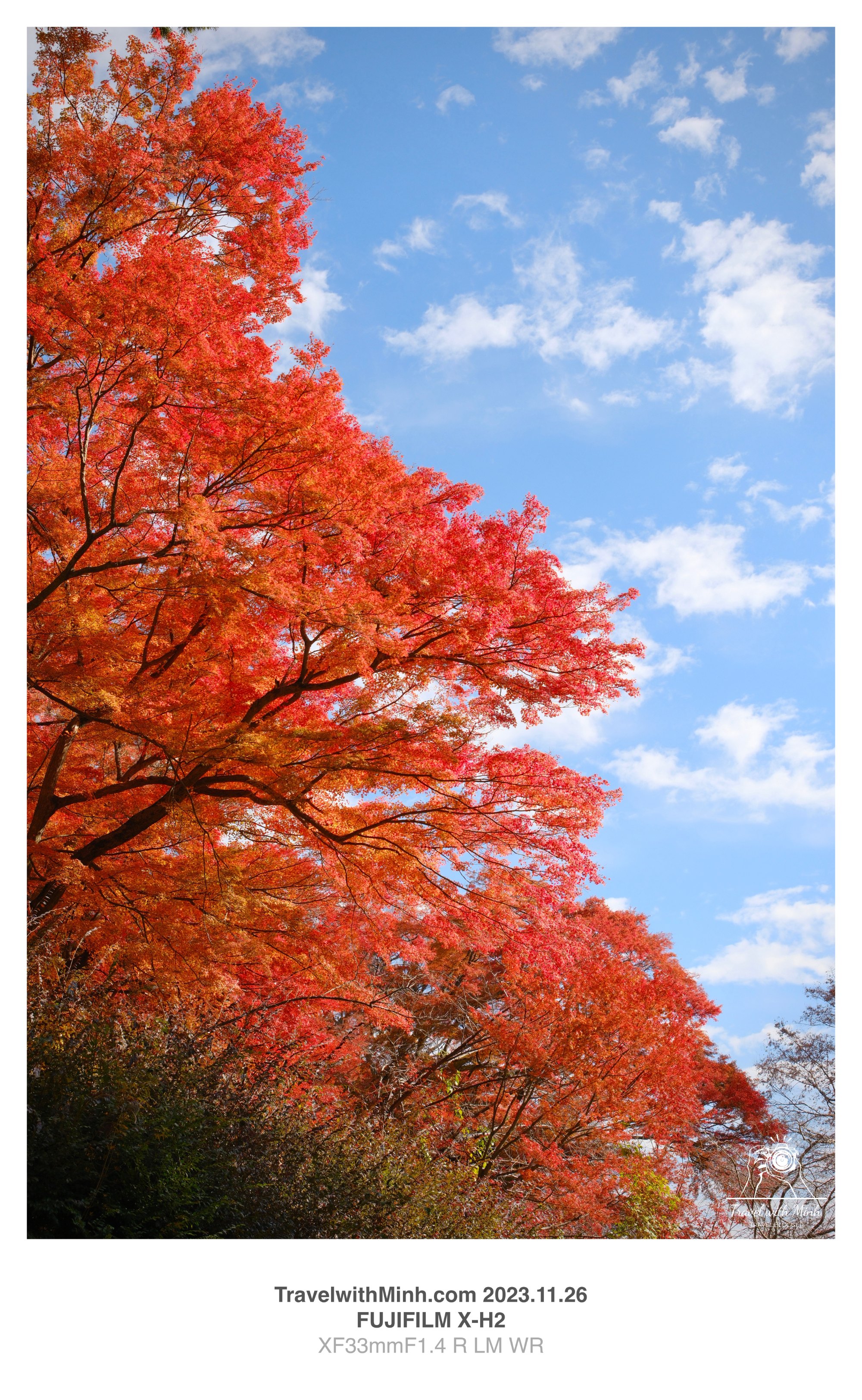 Katsuoji minoh2023 11 26 08 44 img 2816