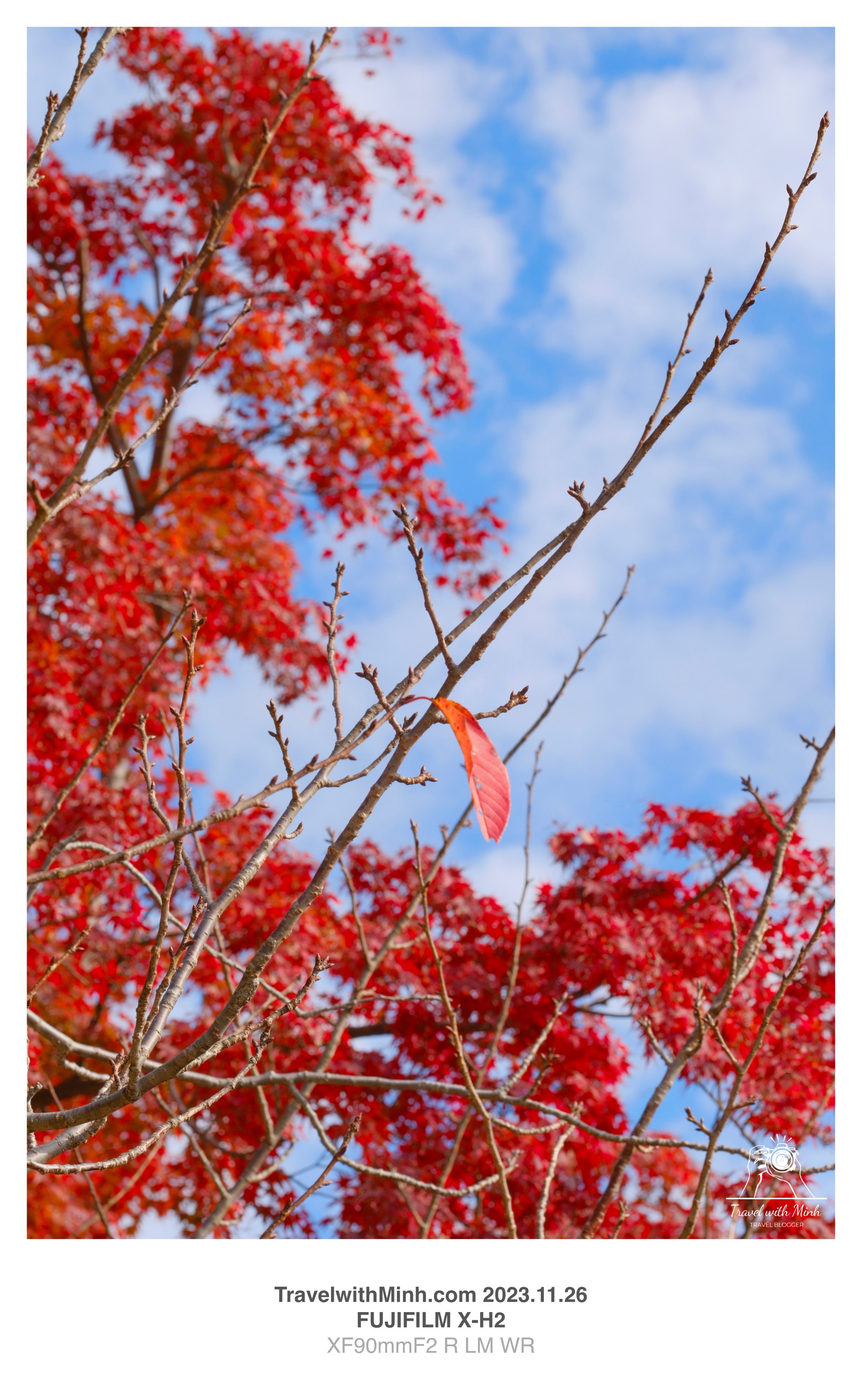 Katsuoji minoh2023 11 26 08 59 img 2813