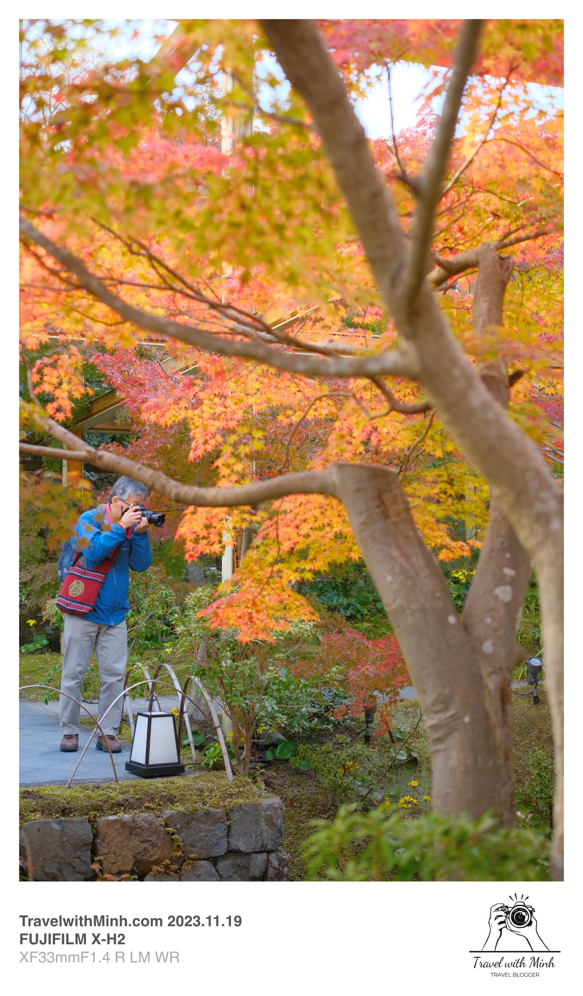 Suikeien garden kyoto2023 11 19 12 35 img 2623 1
