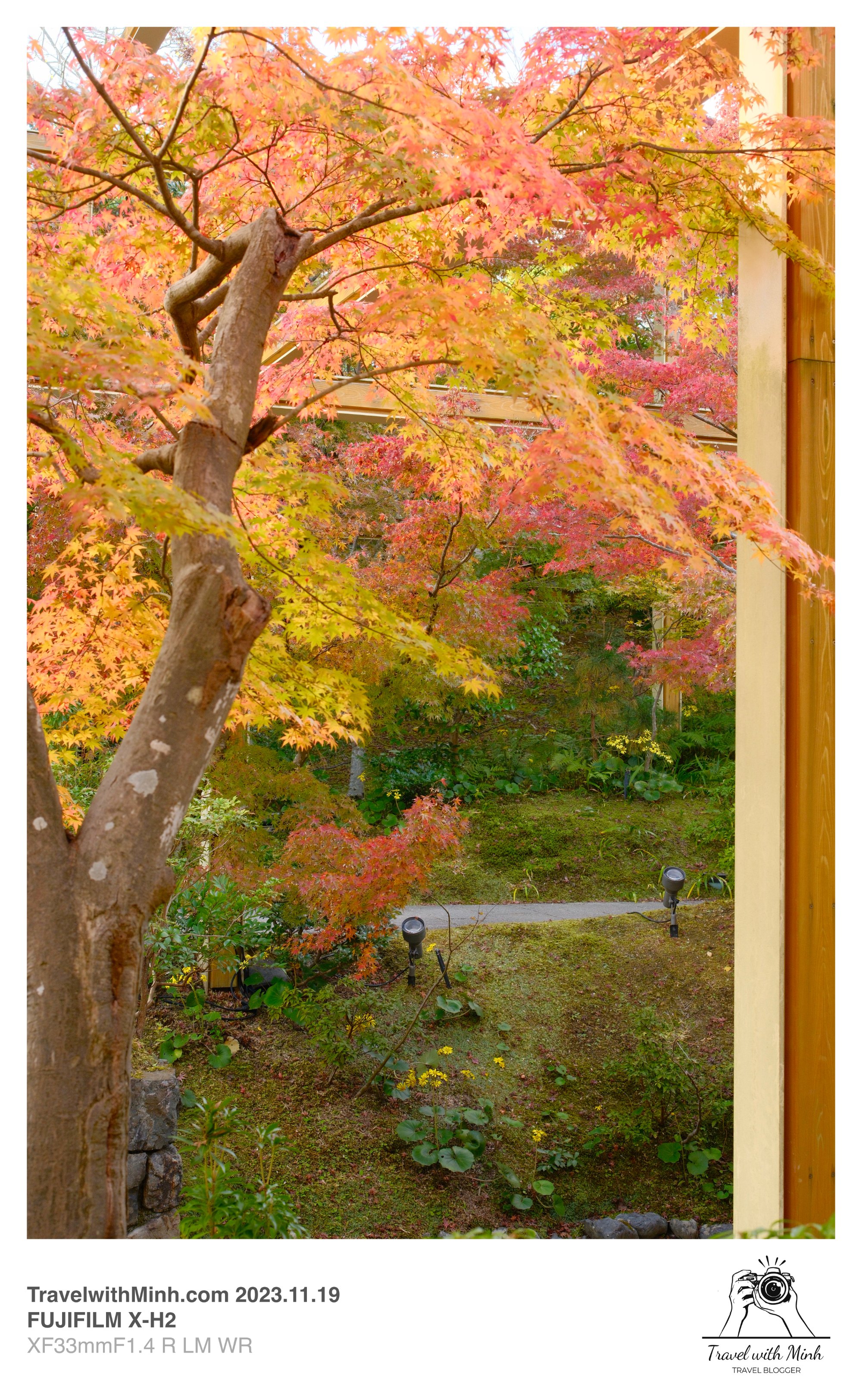 Suikeien garden kyoto2023 11 19 12 37 img 2625