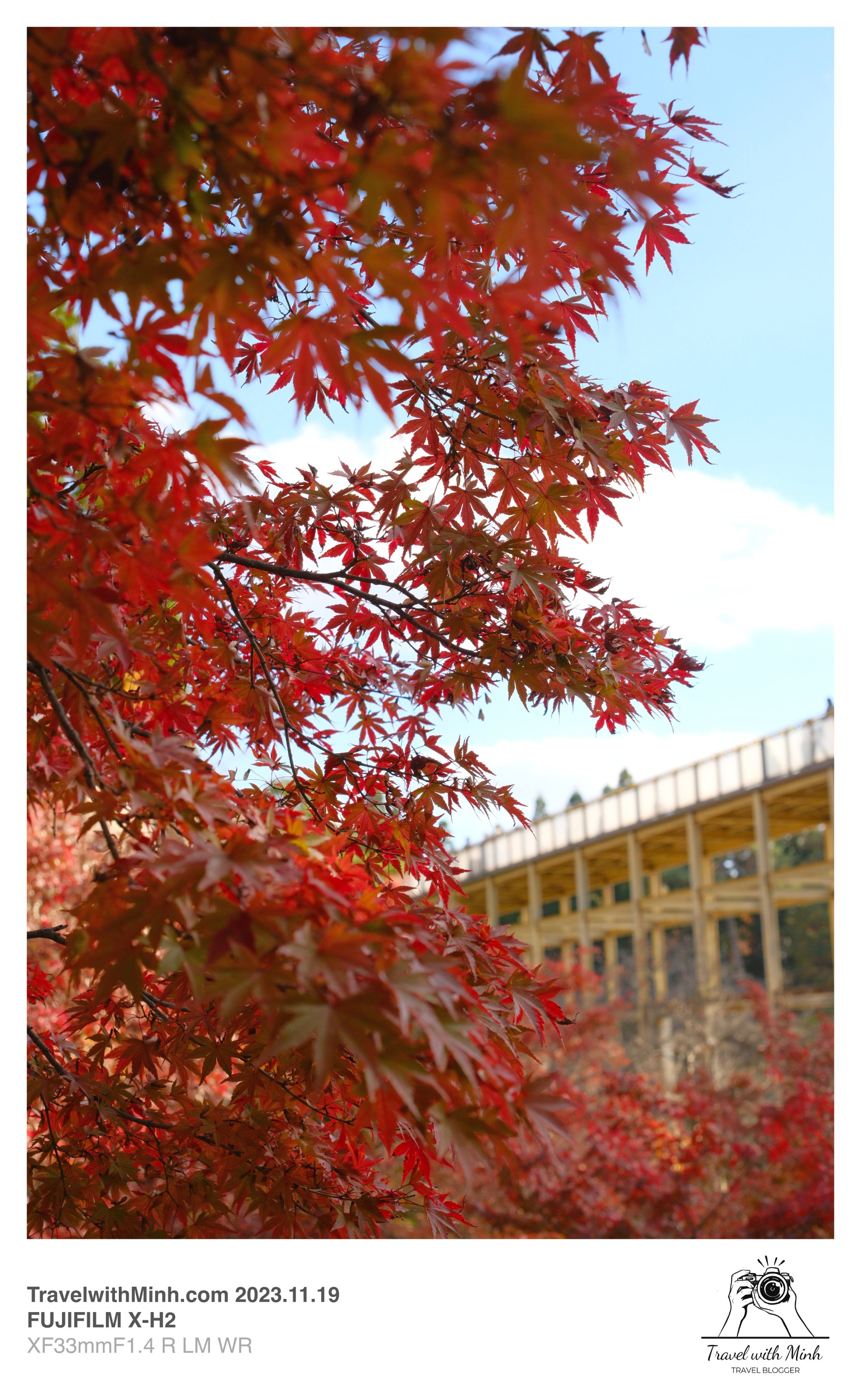 Suikeien garden kyoto2023 11 19 12 38 img 2626