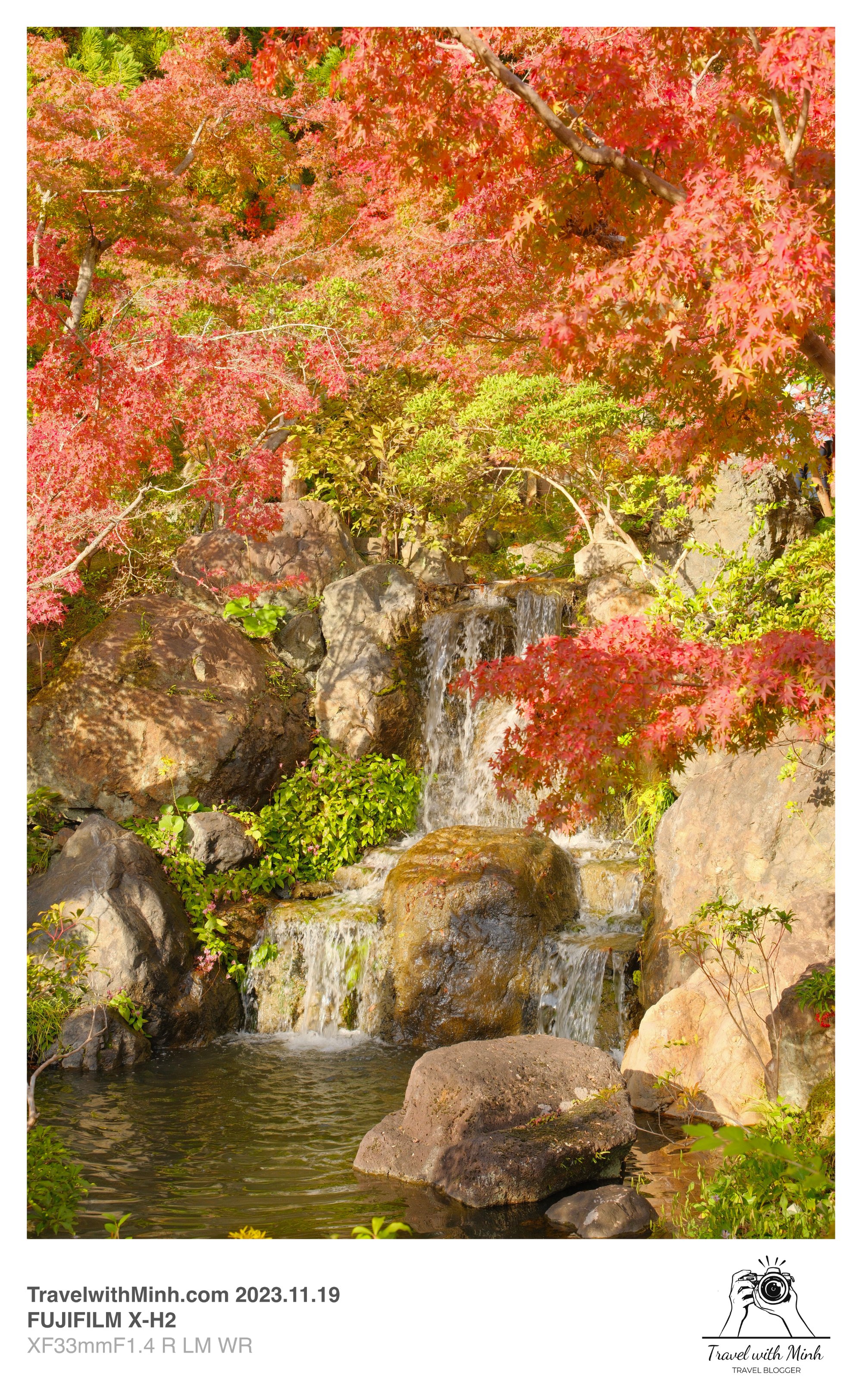 Suikeien garden kyoto2023 11 19 12 39 img 2628