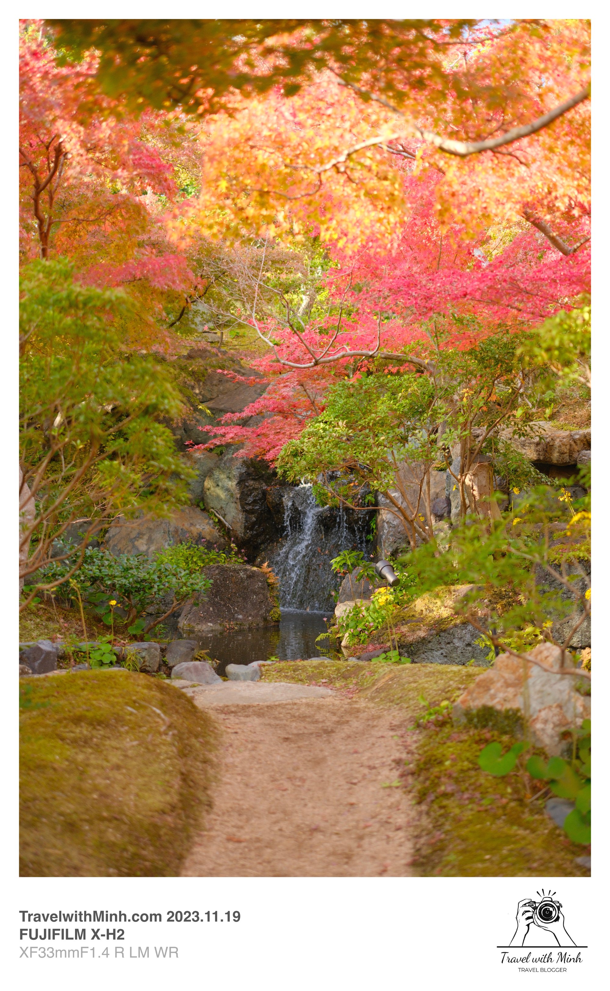 Suikeien garden kyoto2023 11 19 12 43 img 2629