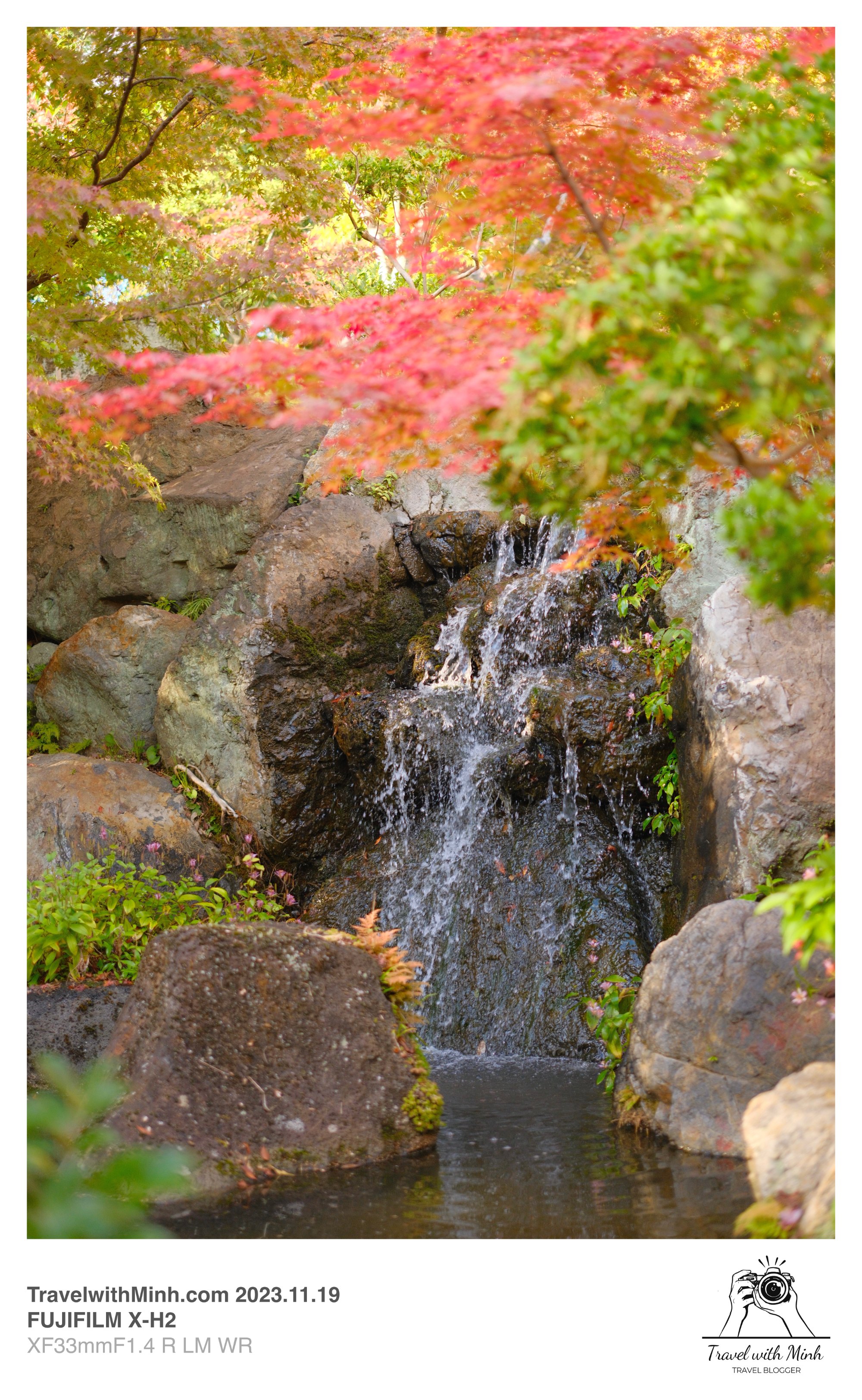 Suikeien garden kyoto2023 11 19 12 43 img 2630