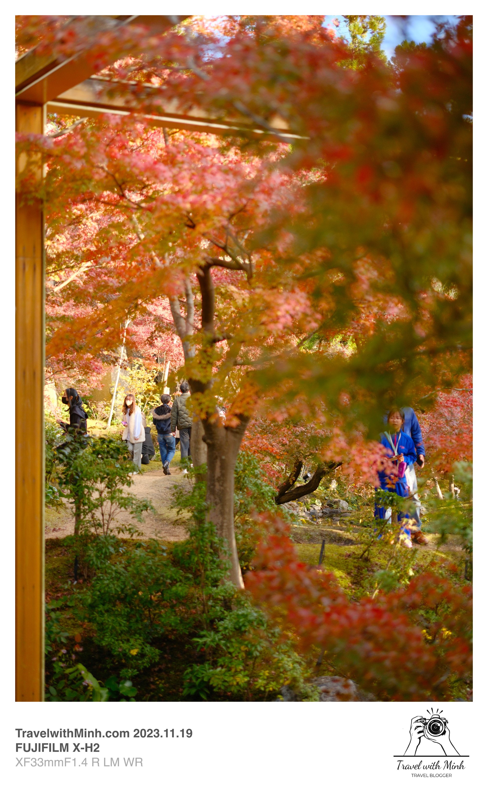 Suikeien garden kyoto2023 11 19 12 47 img 2632