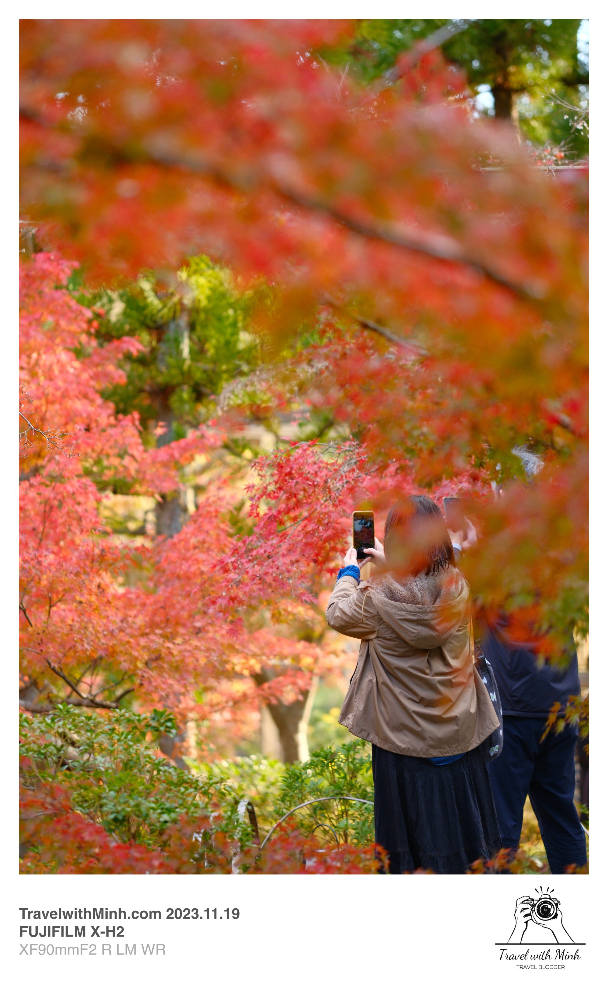 Suikeien garden kyoto2023 11 19 12 53 img 2636