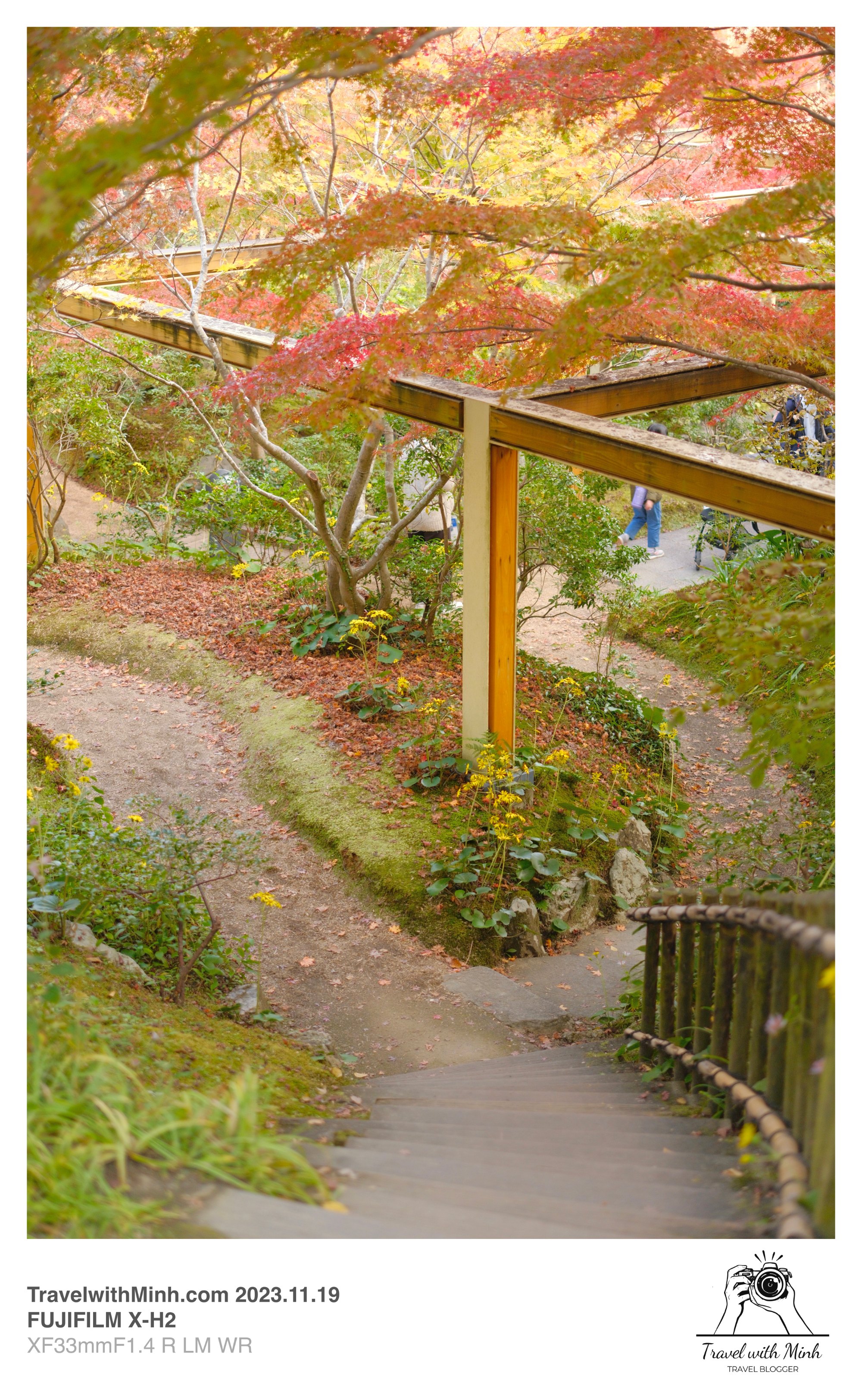 Suikeien garden kyoto2023 11 19 13 04 img 2639