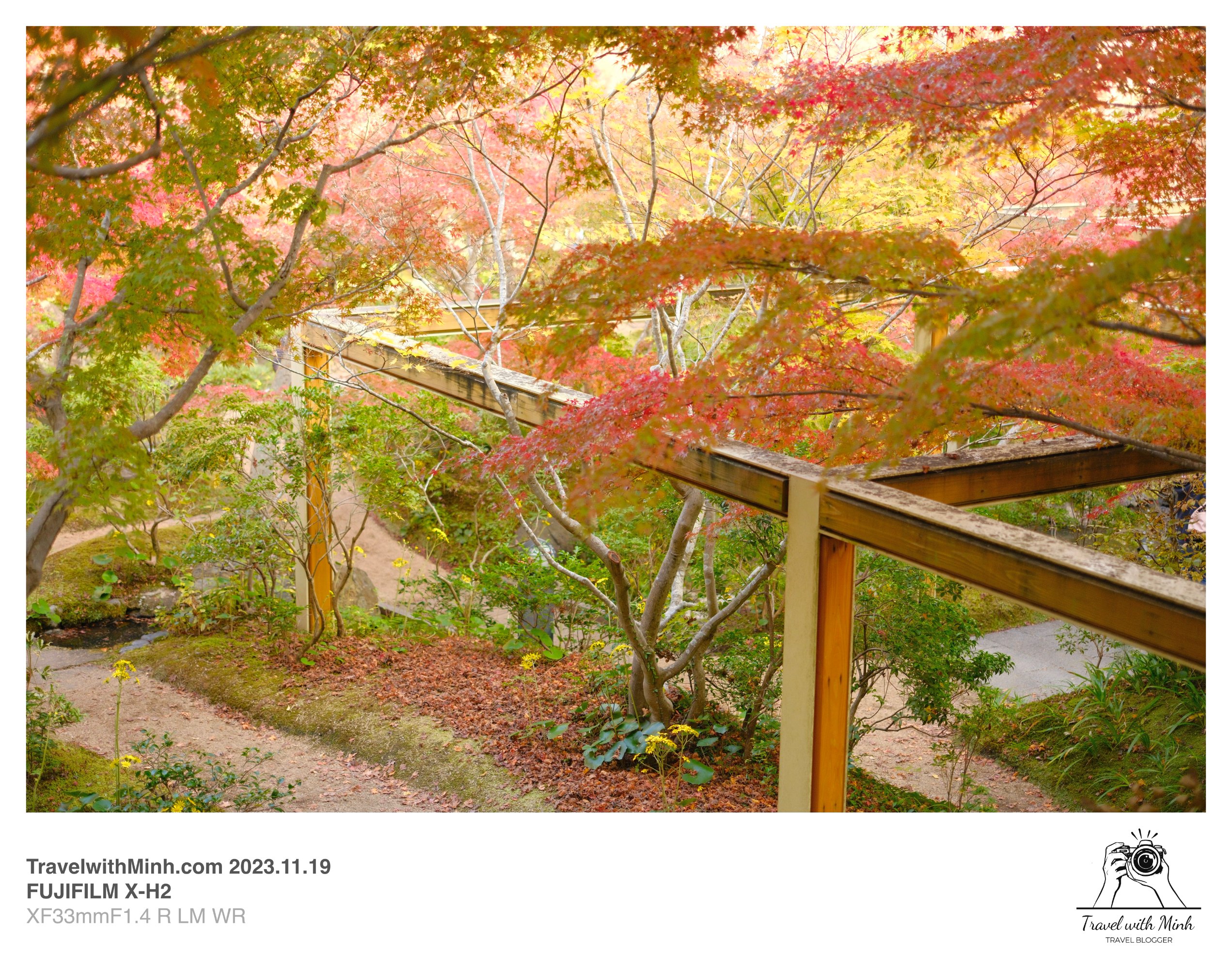 Suikeien garden kyoto2023 11 19 13 05 img 2640